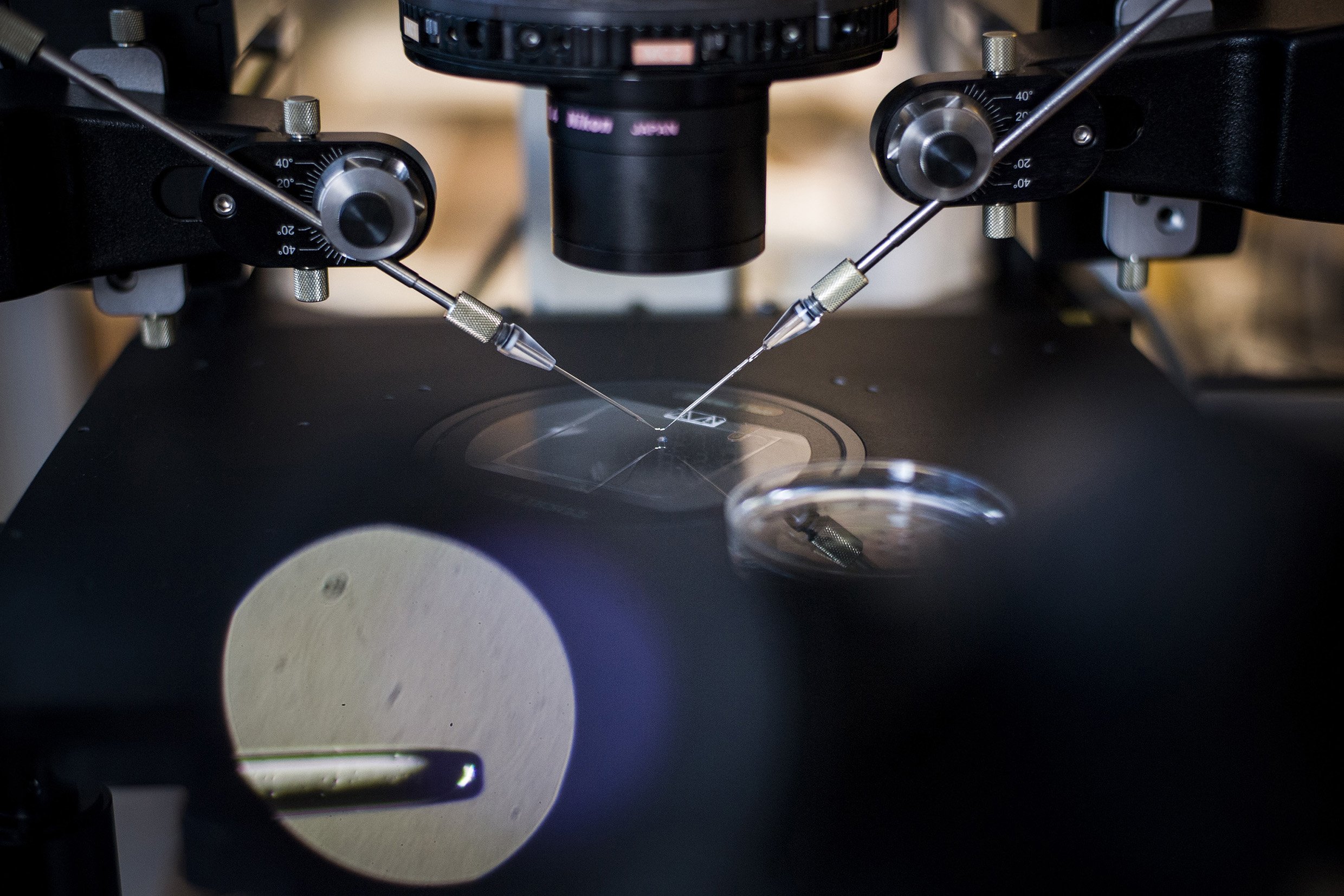 Norimberské zákony, Nicki Minaj i hejteři Pekarové Adamové. Kdo všechno má co říct k neplodnosti?