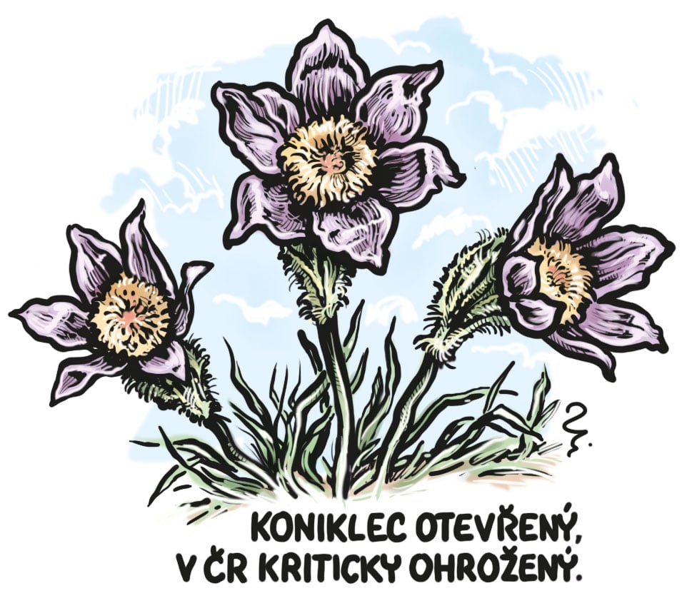 Obnova přírody narazila na obnovu populismu