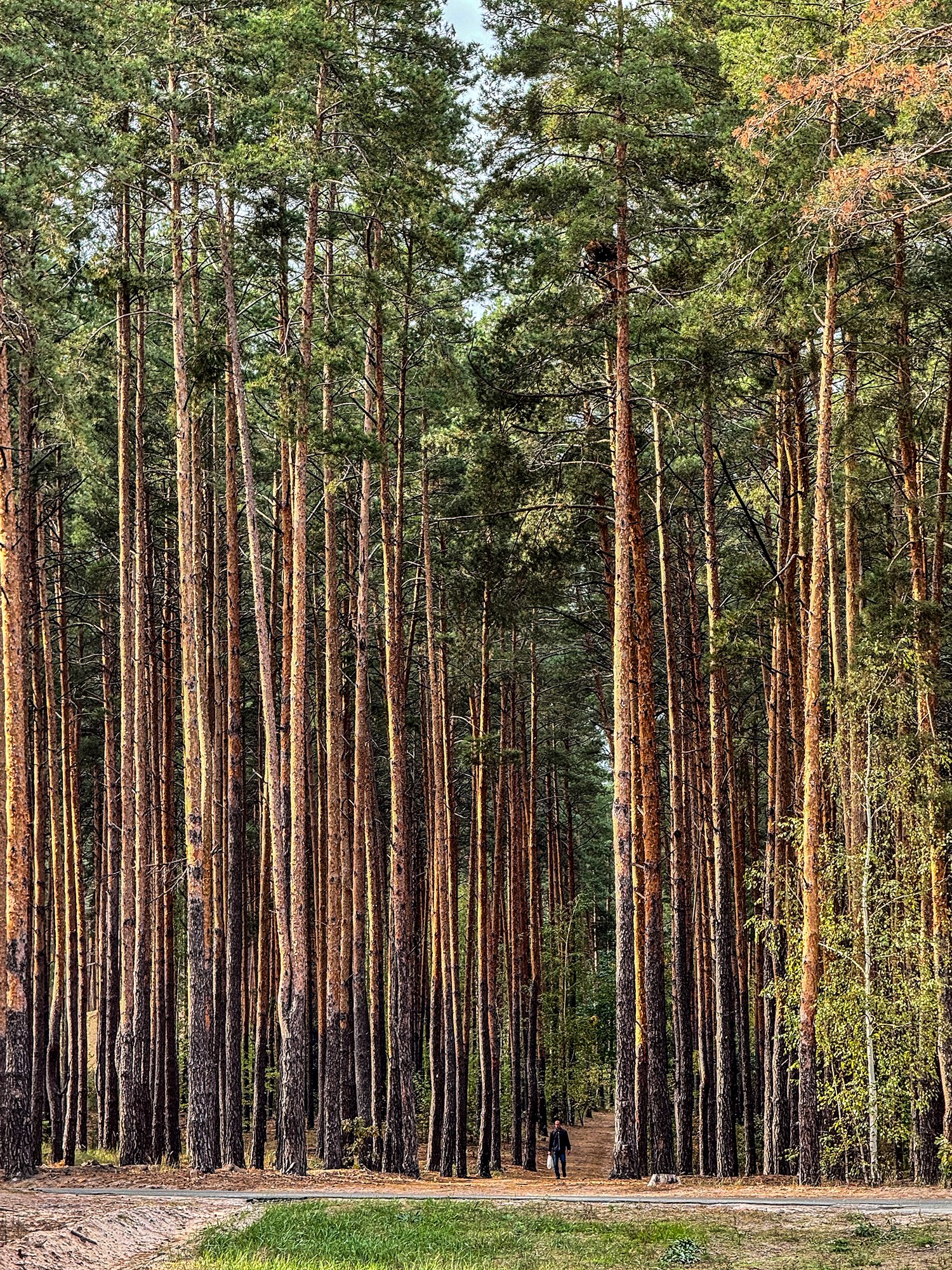 Buča je idylické místo, kde se jen těžko představují zvěrstva, která tu Rusové páchali na lidech.
Autor: Erik Tabery