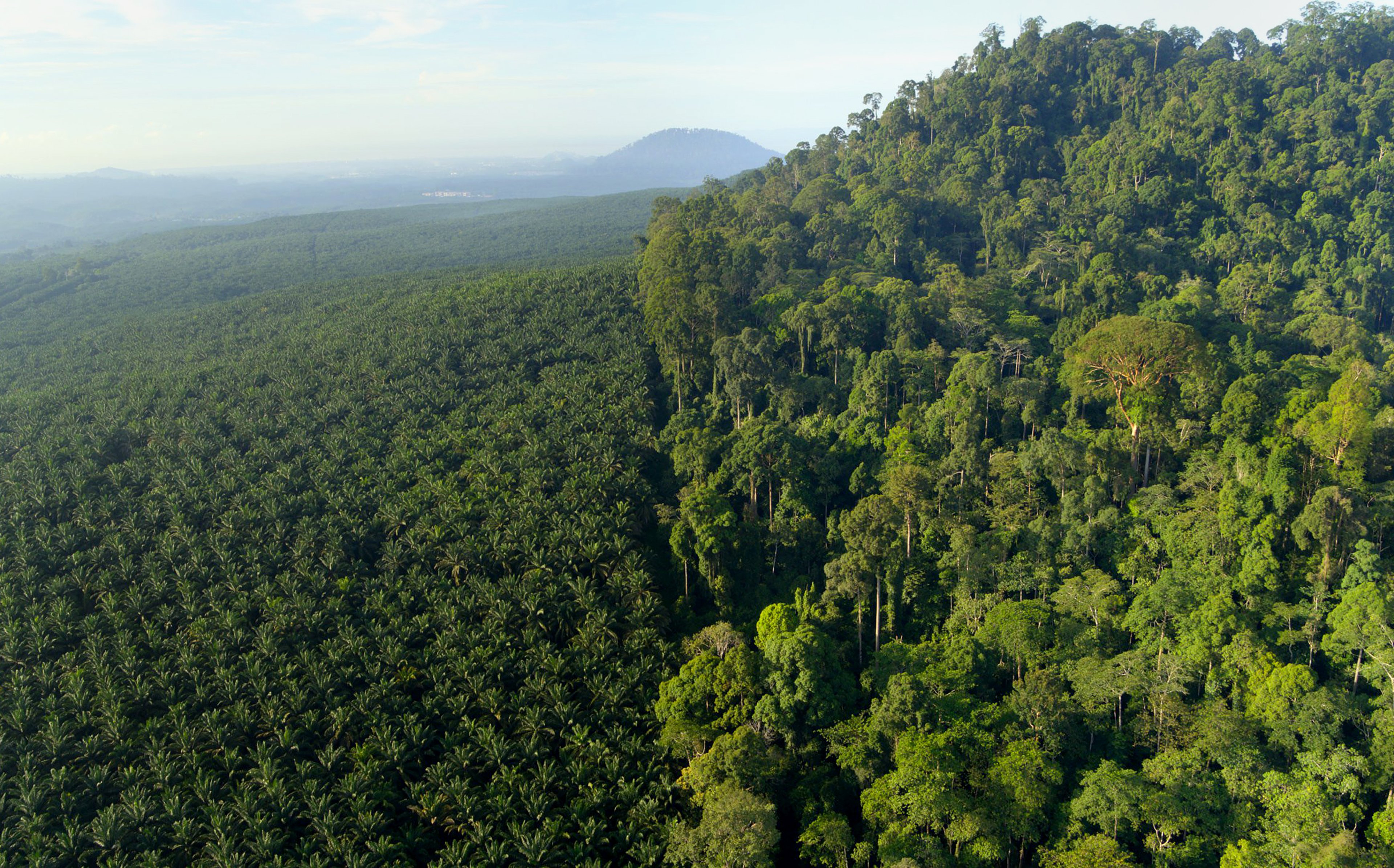 Planeta Attenborough