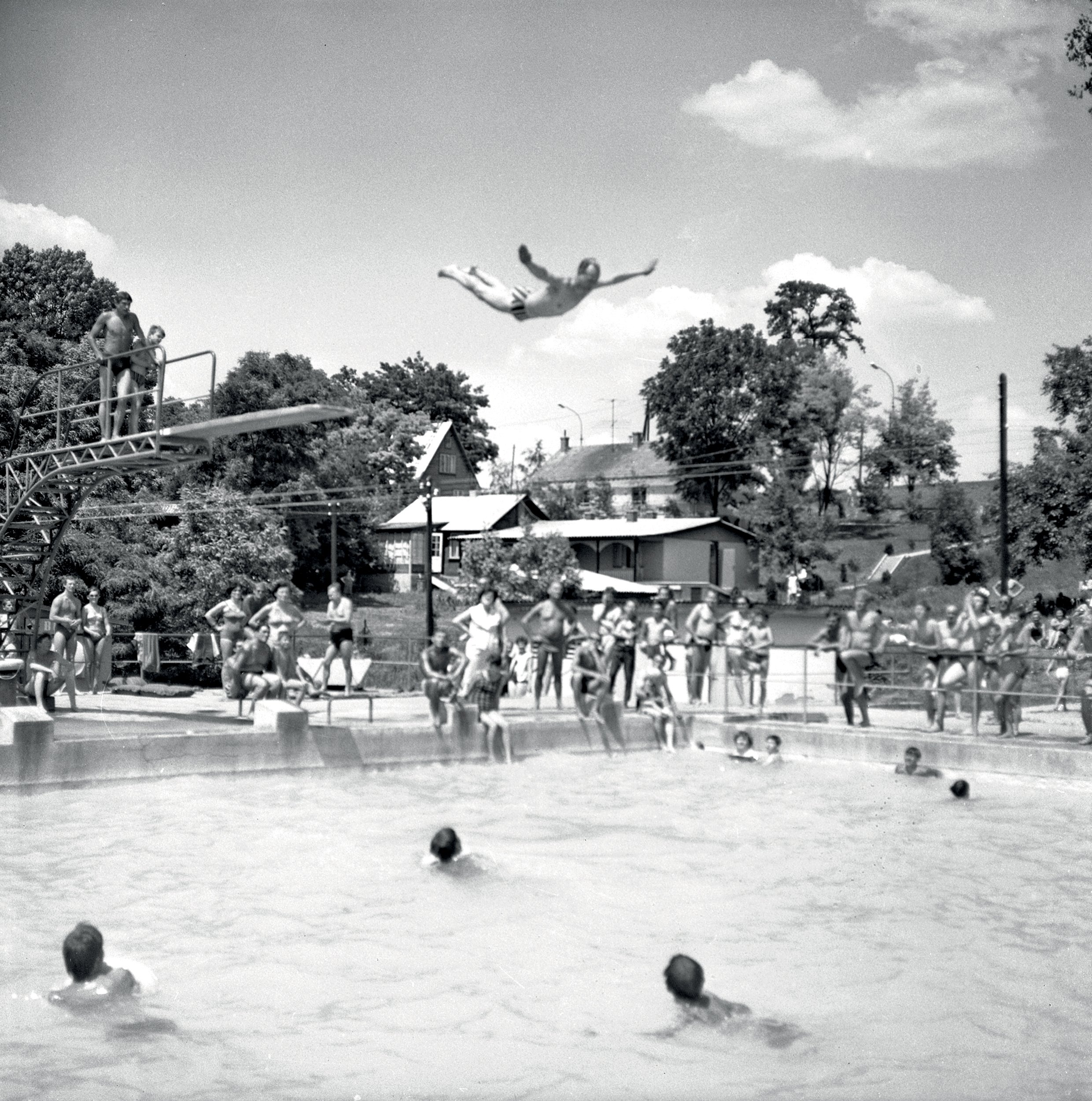 Saša nikomu nevadil