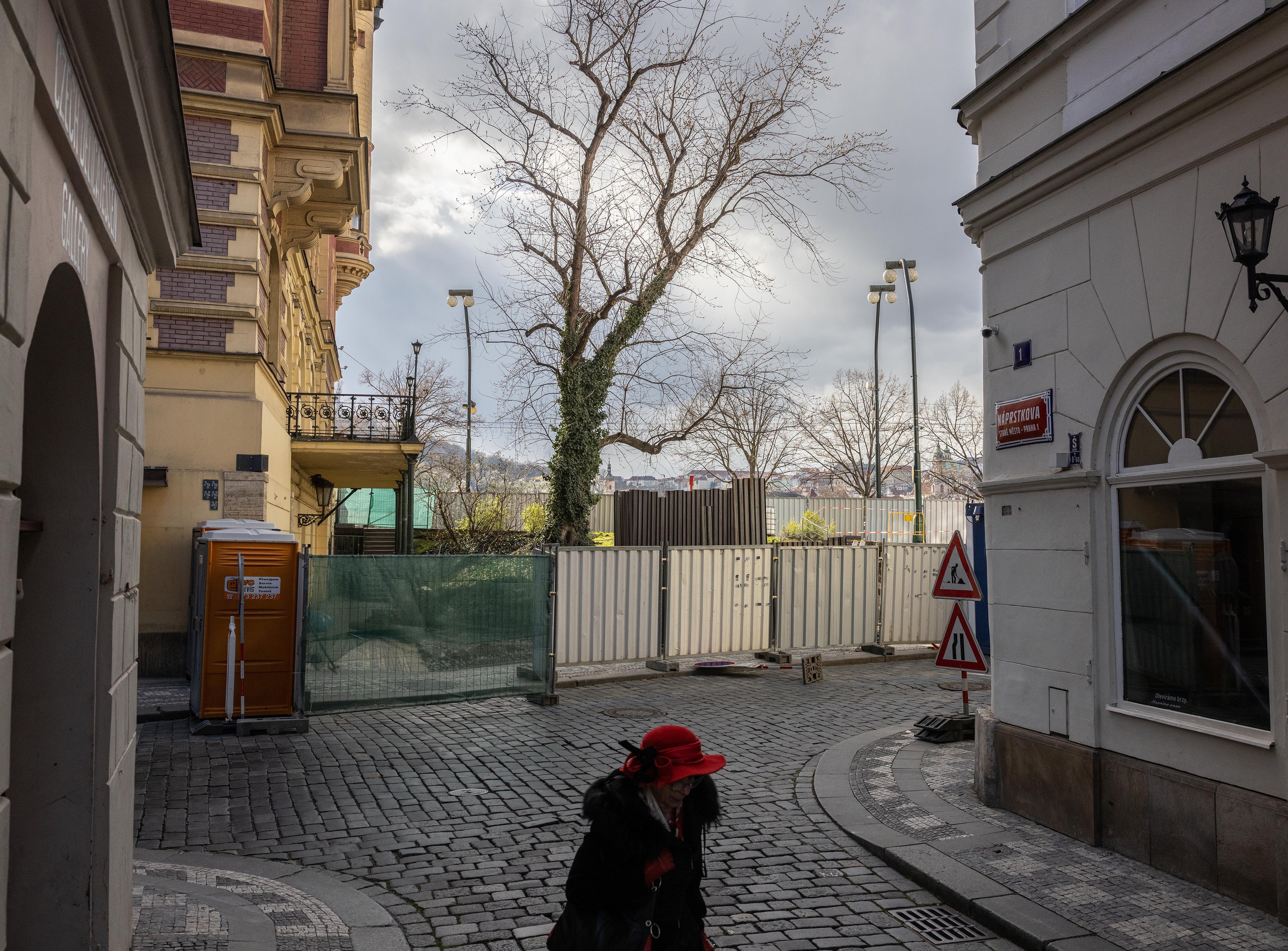 Zázrak, který překáží. Proč Češi tak rádi kácí svoje stromy