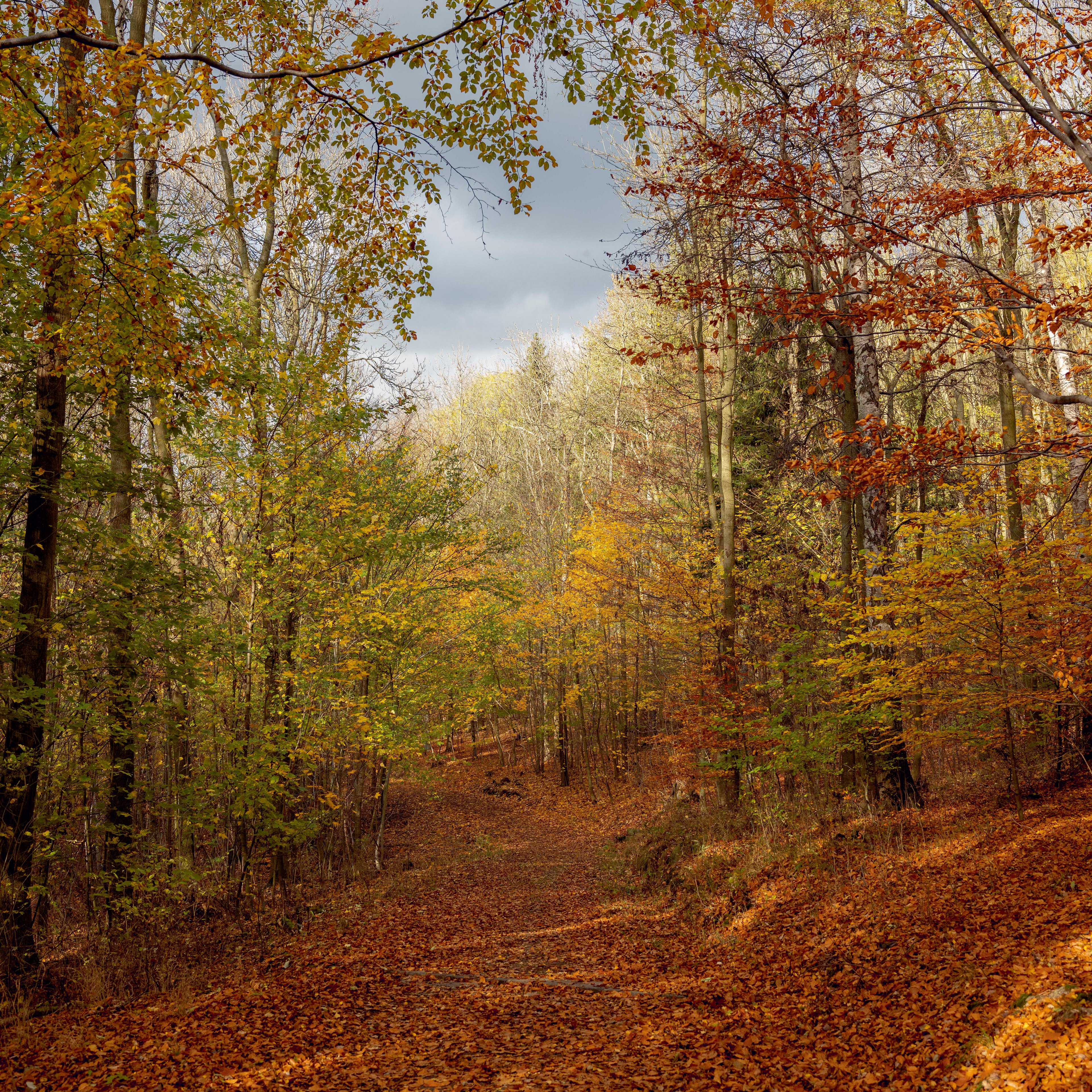 Proč příroda léčí