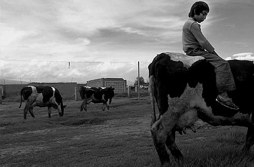 Fotografie: Tady se spřádá sen o Americe. Foto Corbis Sygma
Autor: Respekt