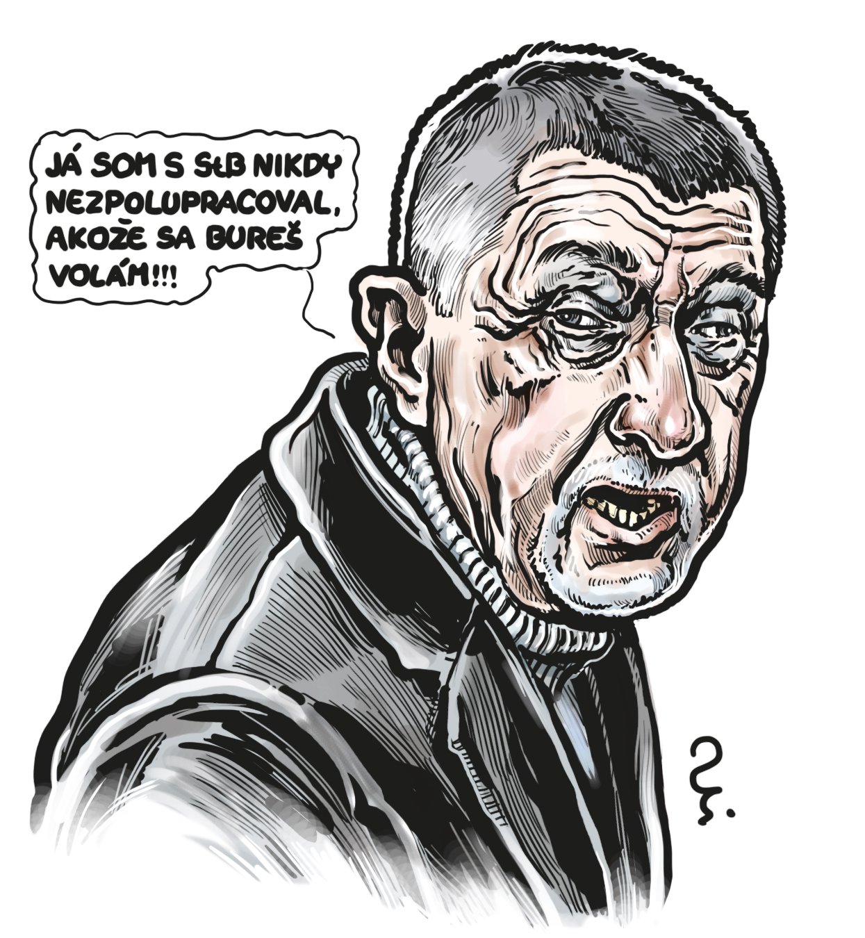 Co z Česka udělá Babišova volební kampaň?