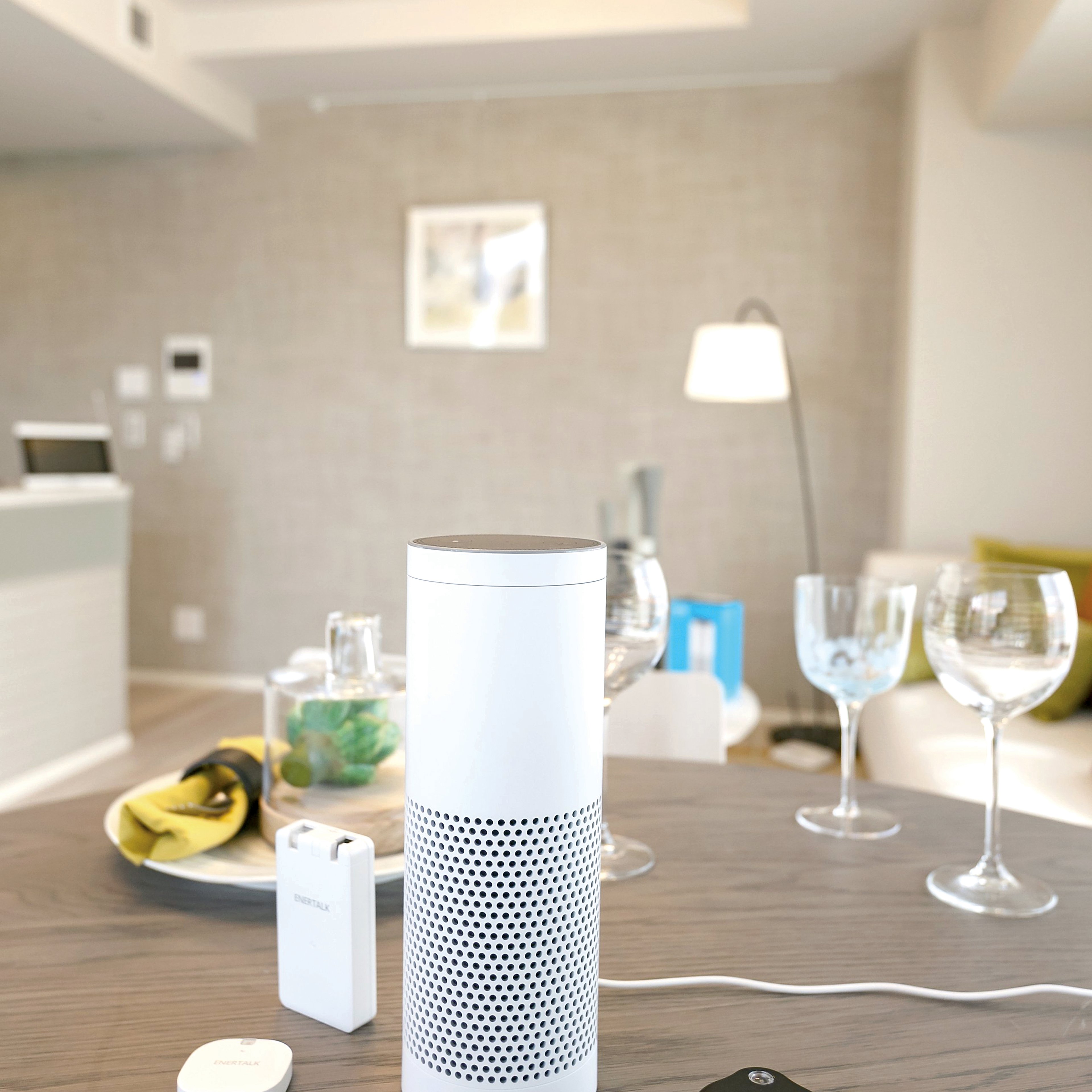 Alexo, jaká  je budoucnost?