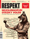 Obálka vydání 41/2013