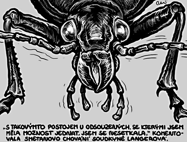 14 tyden tykadla
Autor: Respekt