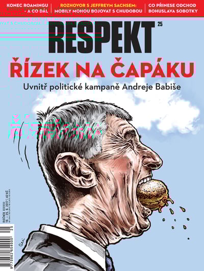 Obálka vydání 25/2017