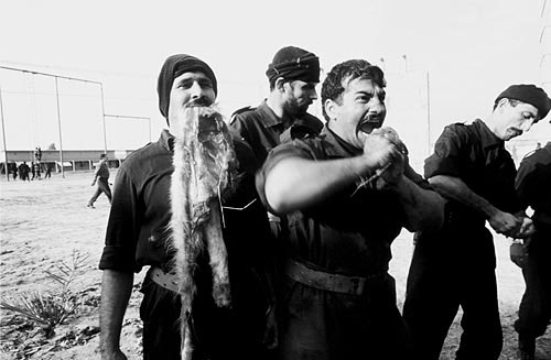 Fotografie: Zatím mají na sobě irácké uniformy. Ale zamíchají-li se při obraně metropole mezi bagdádské civilisty, připraví Američanům těžké problémy. Foto Corbis Sygma
Autor: Respekt