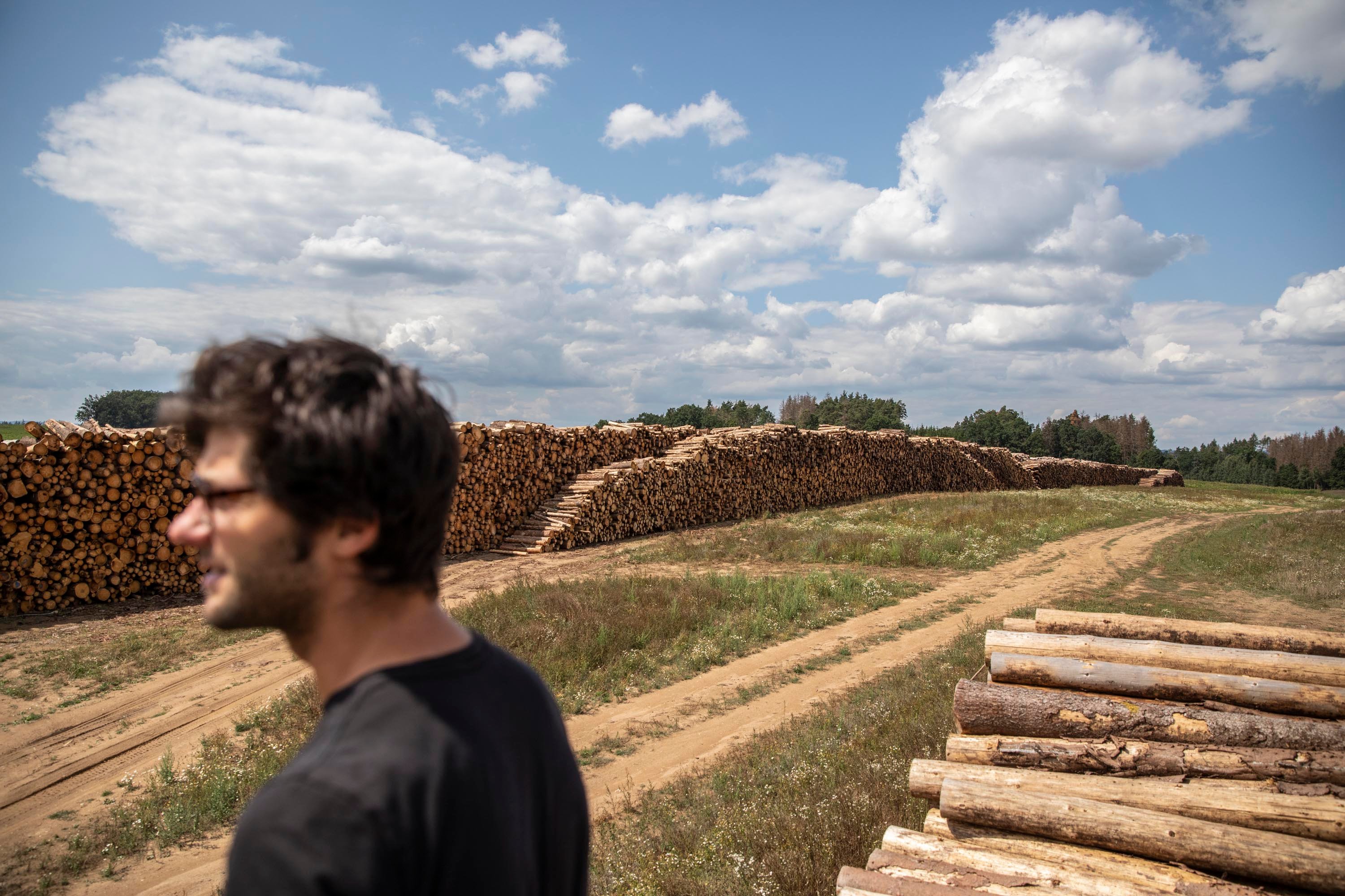 Tomáš Brolík během reportáže o kůrovcové kalamitě na Vysočině
Autor: Milan Jaroš