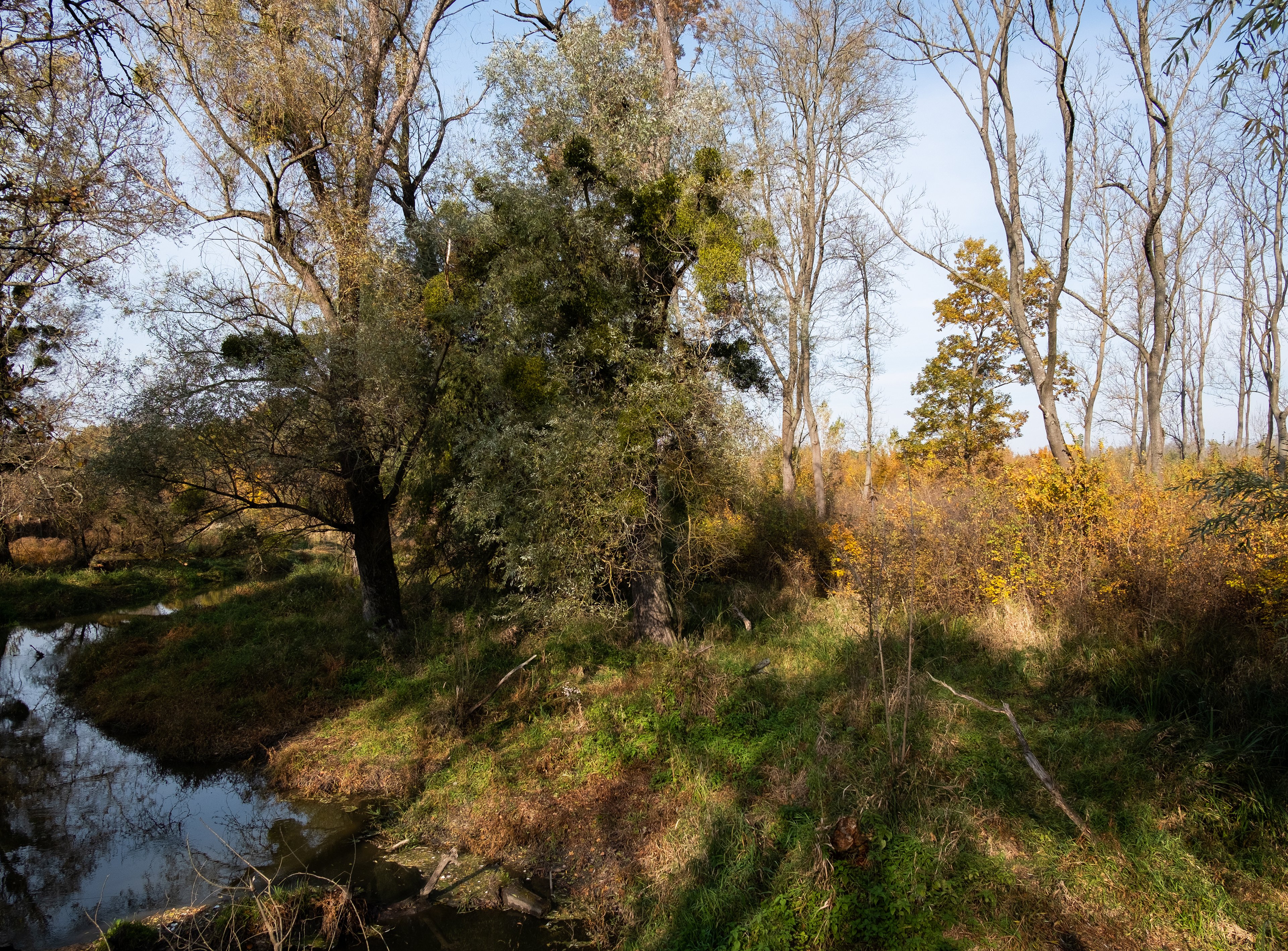 Nenápadná krása mokré země