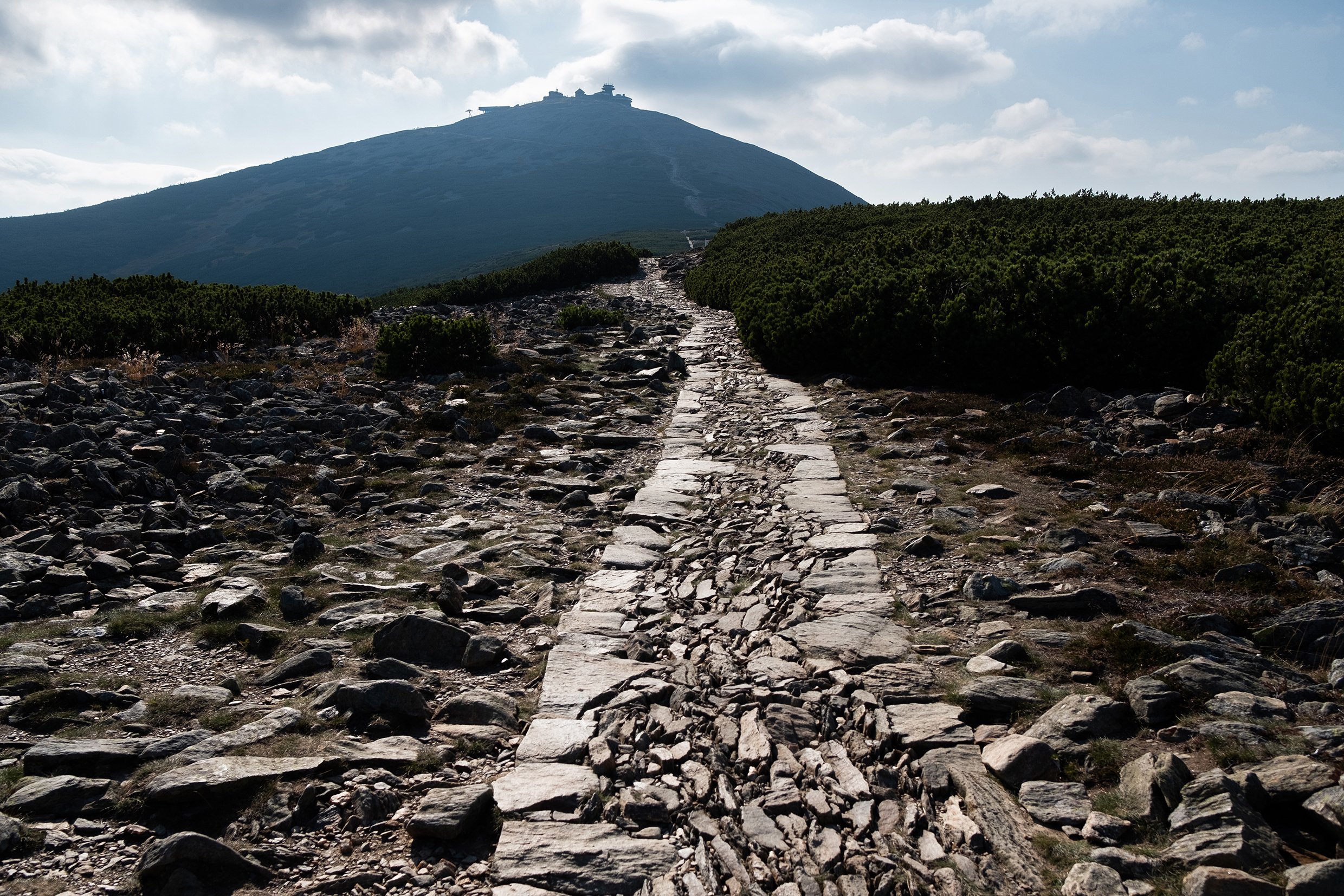 Krakonoš, lyžníci a ubrousky.
(Sněžka z východní strany)
Autor: Matěj Stránský