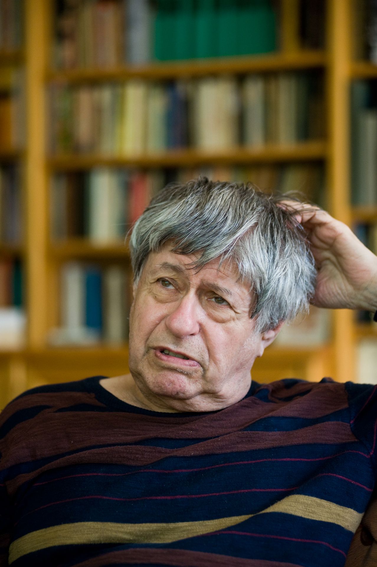 ivan klima, 27.4.2015