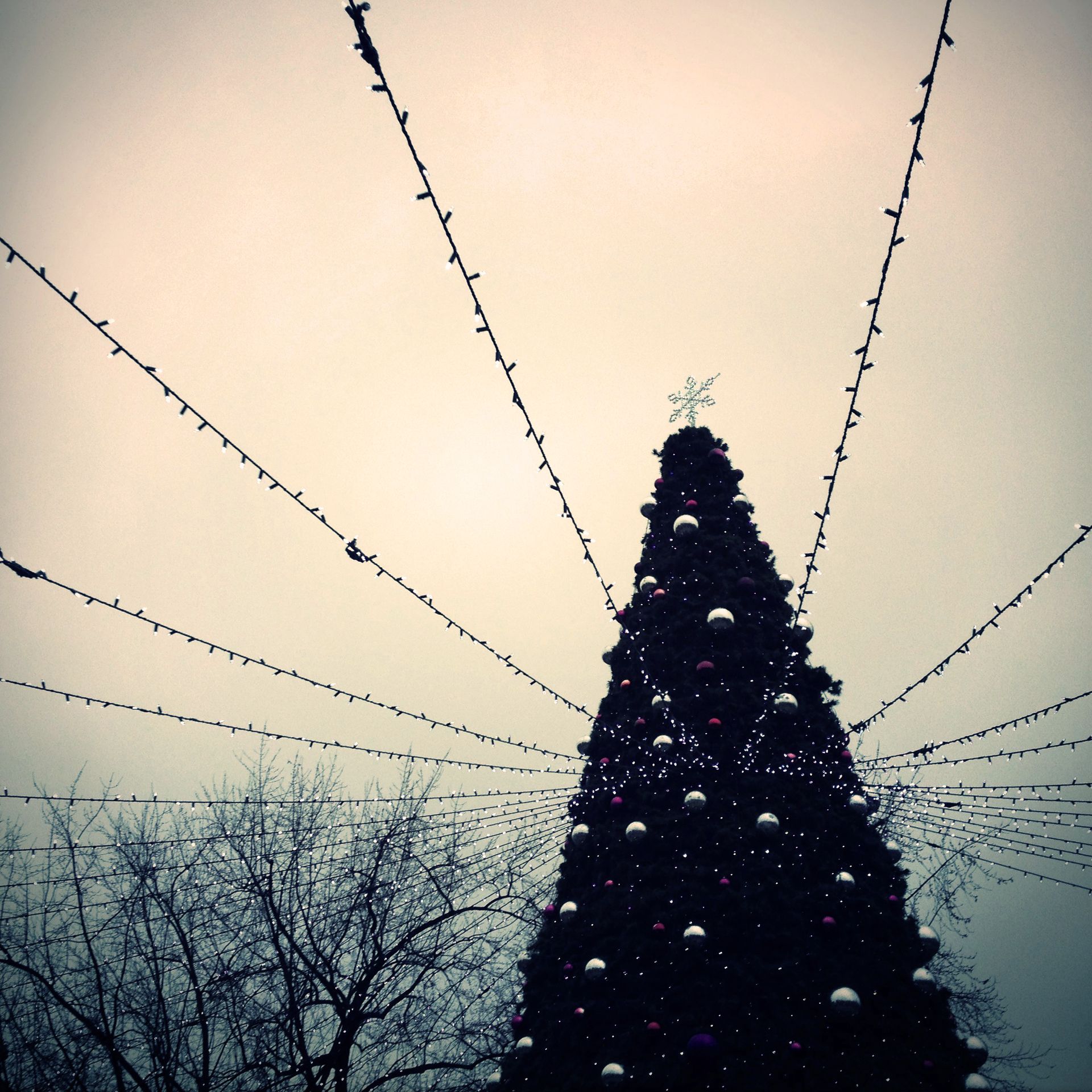 vanoce, darky, ilustracni foto