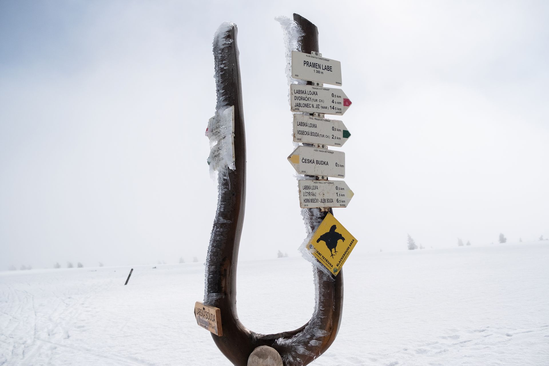 Autor: Matěj Stránský