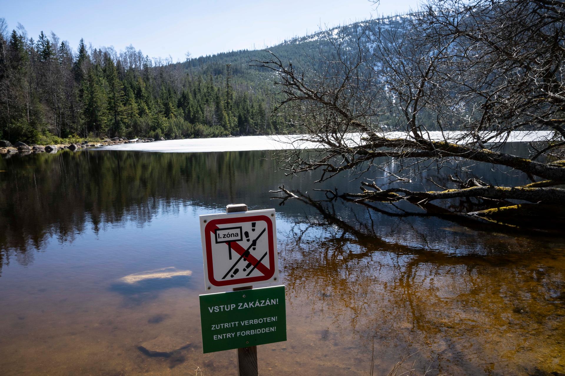 Šumava, Plešné jezero