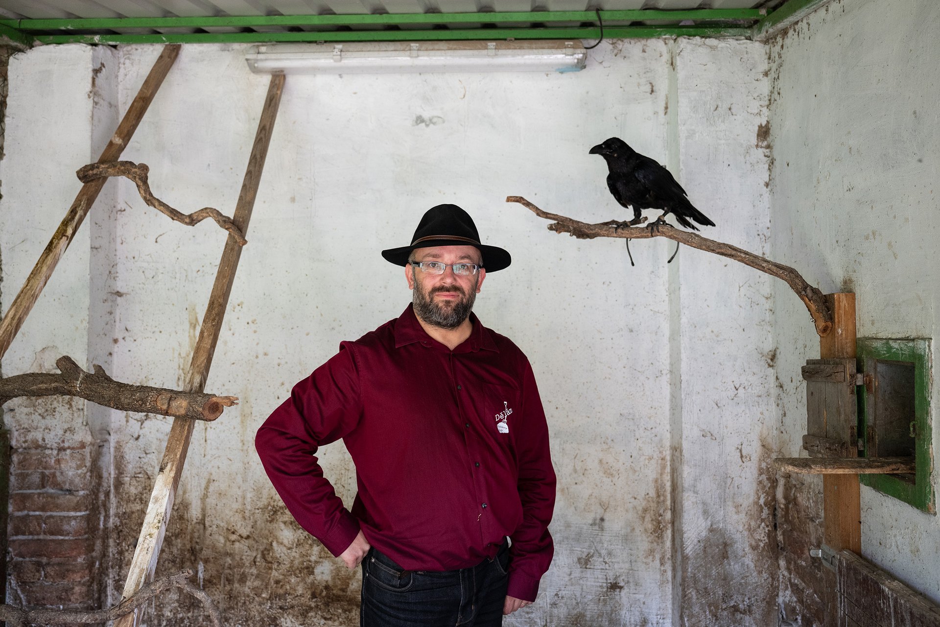 Daniel Sterzik, Vidlák
Autor: Matěj Stránský