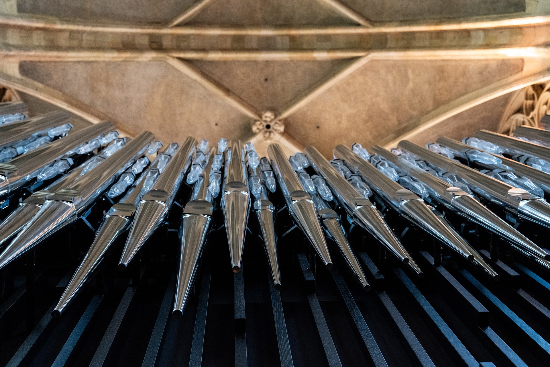 Autor: Matěj Stránský