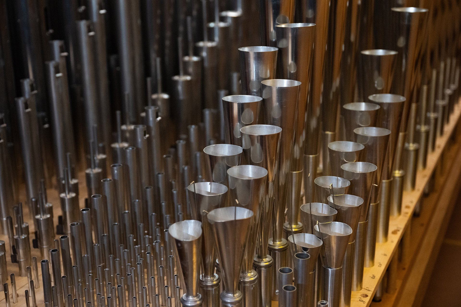 Autor: Matěj Stránský