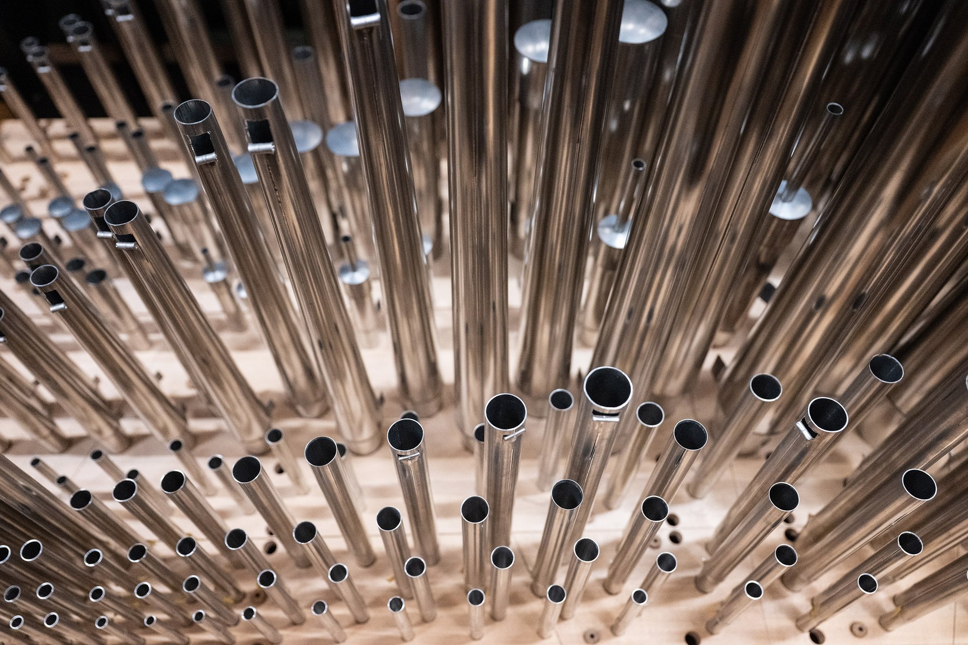 Autor: Matěj Stránský