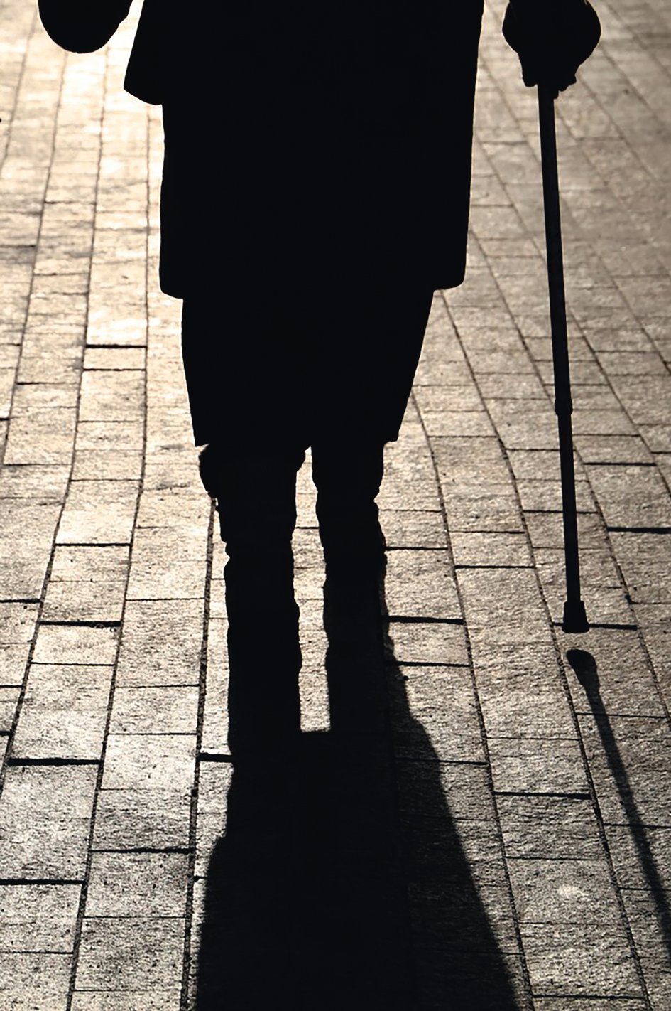 Girl and woman with a cane, black silhouettes and shadows of two people walking on the street. Concept of limping, old age, elderly or blind person
Autor: Oleg Elkov / Alamy / Profimedia