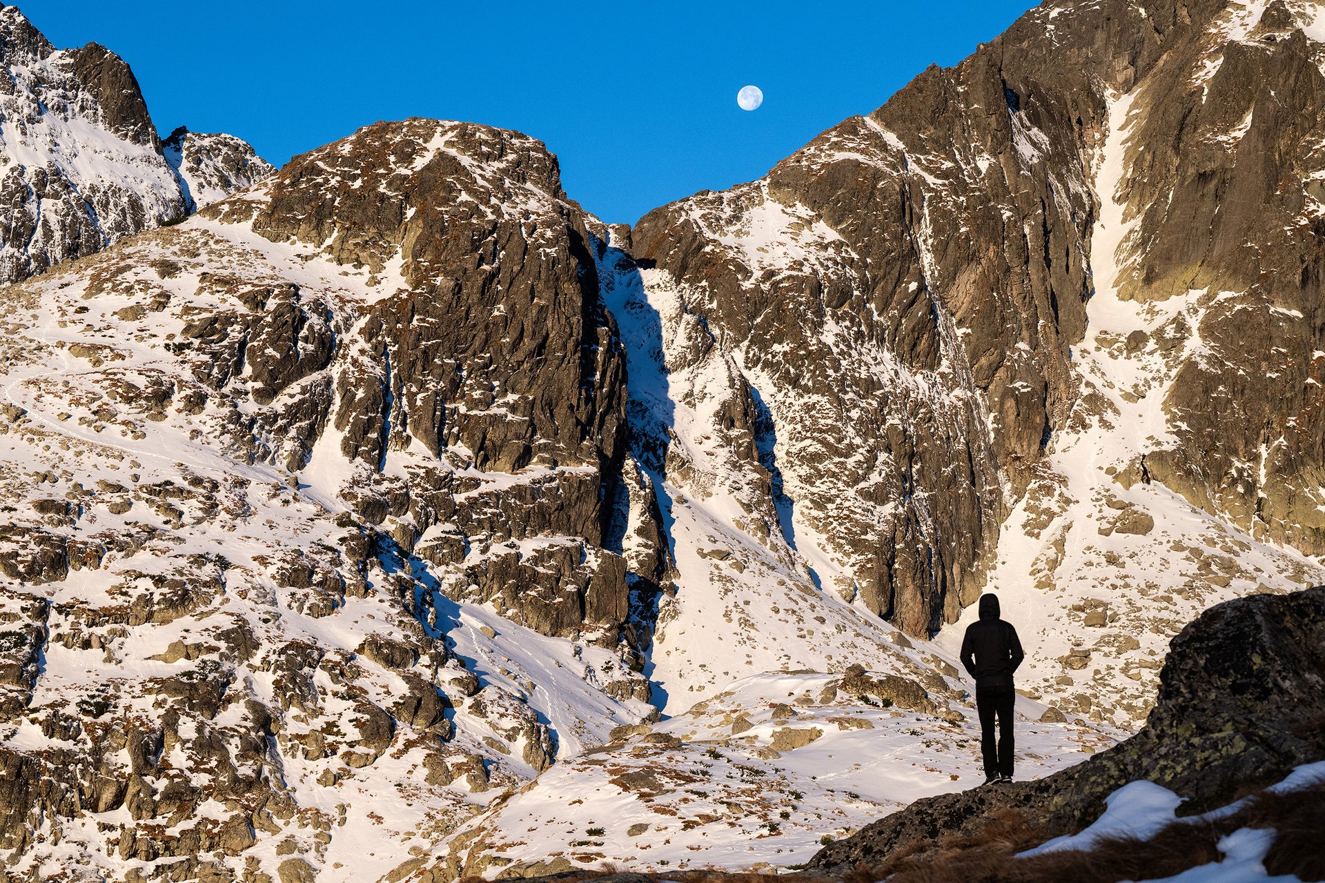 Do Tater proniká politika