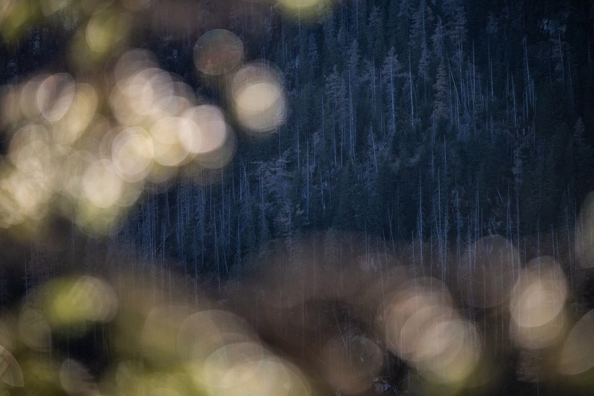 Autor: Matěj Stránský