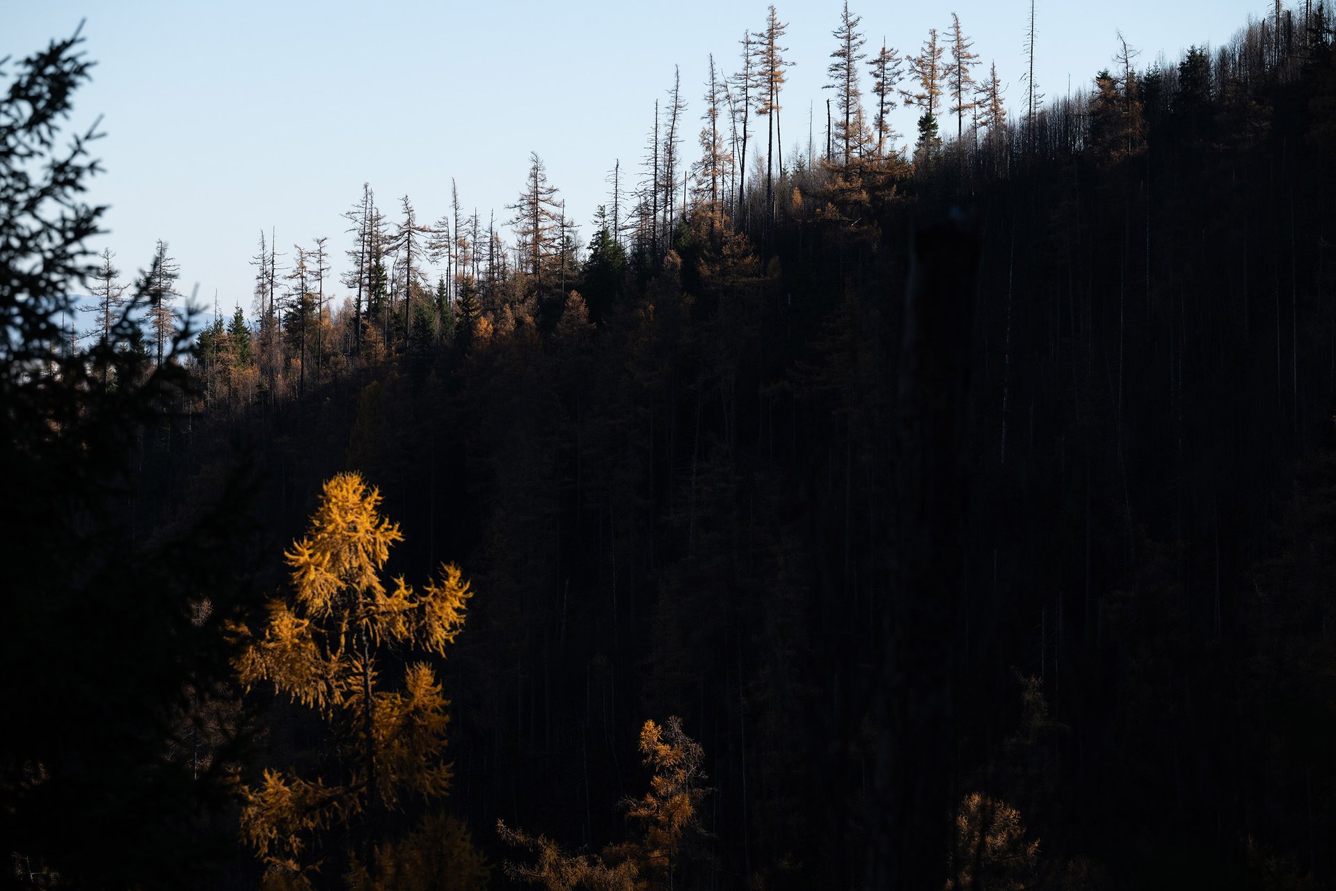 Autor: Matěj Stránský