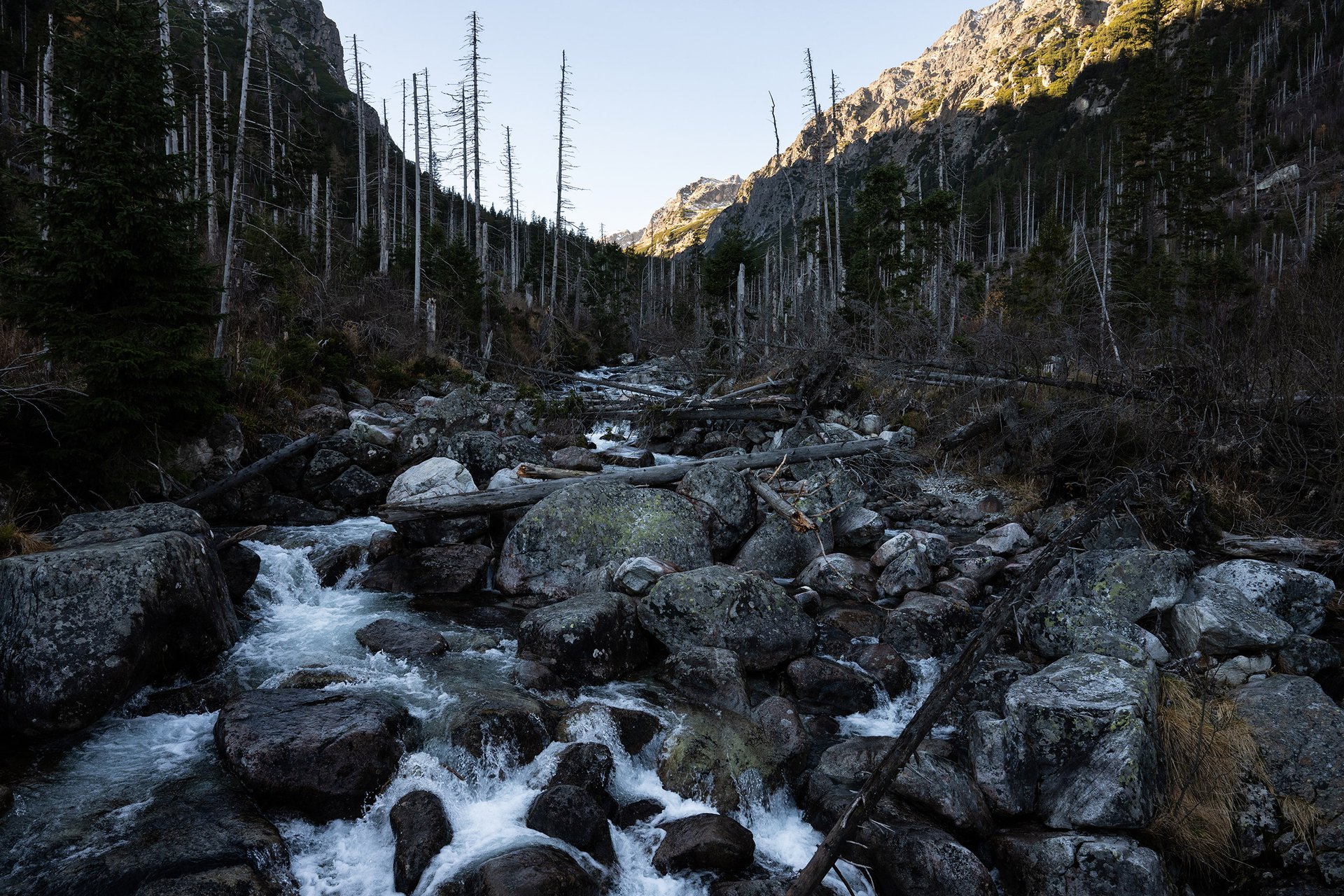 Autor: Matěj Stránský