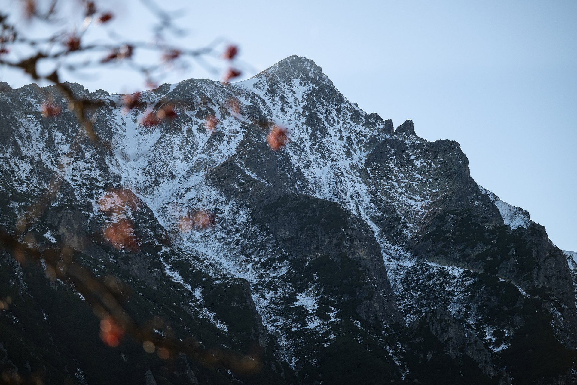 Autor: Matěj Stránský