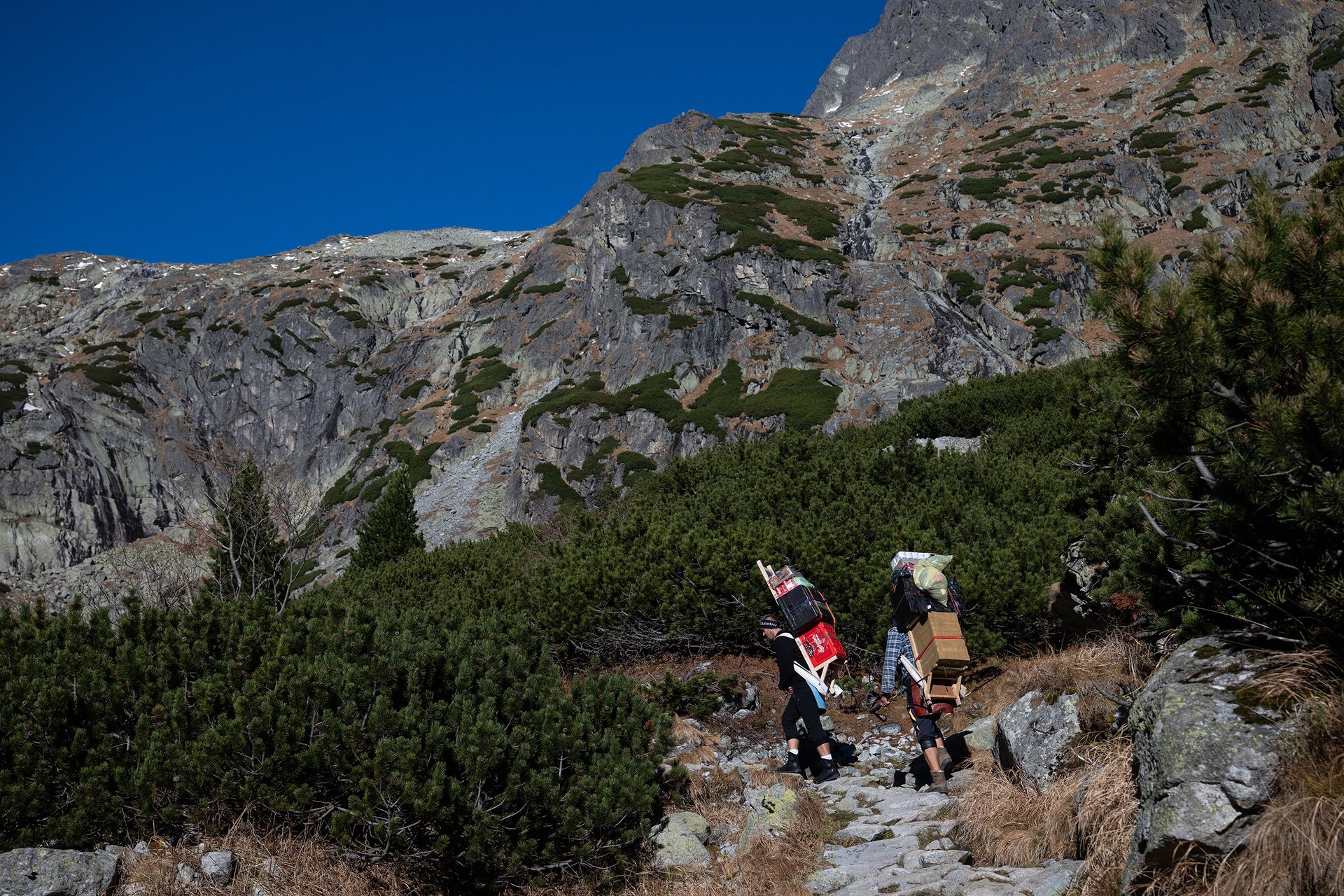 Autor: Matěj Stránský