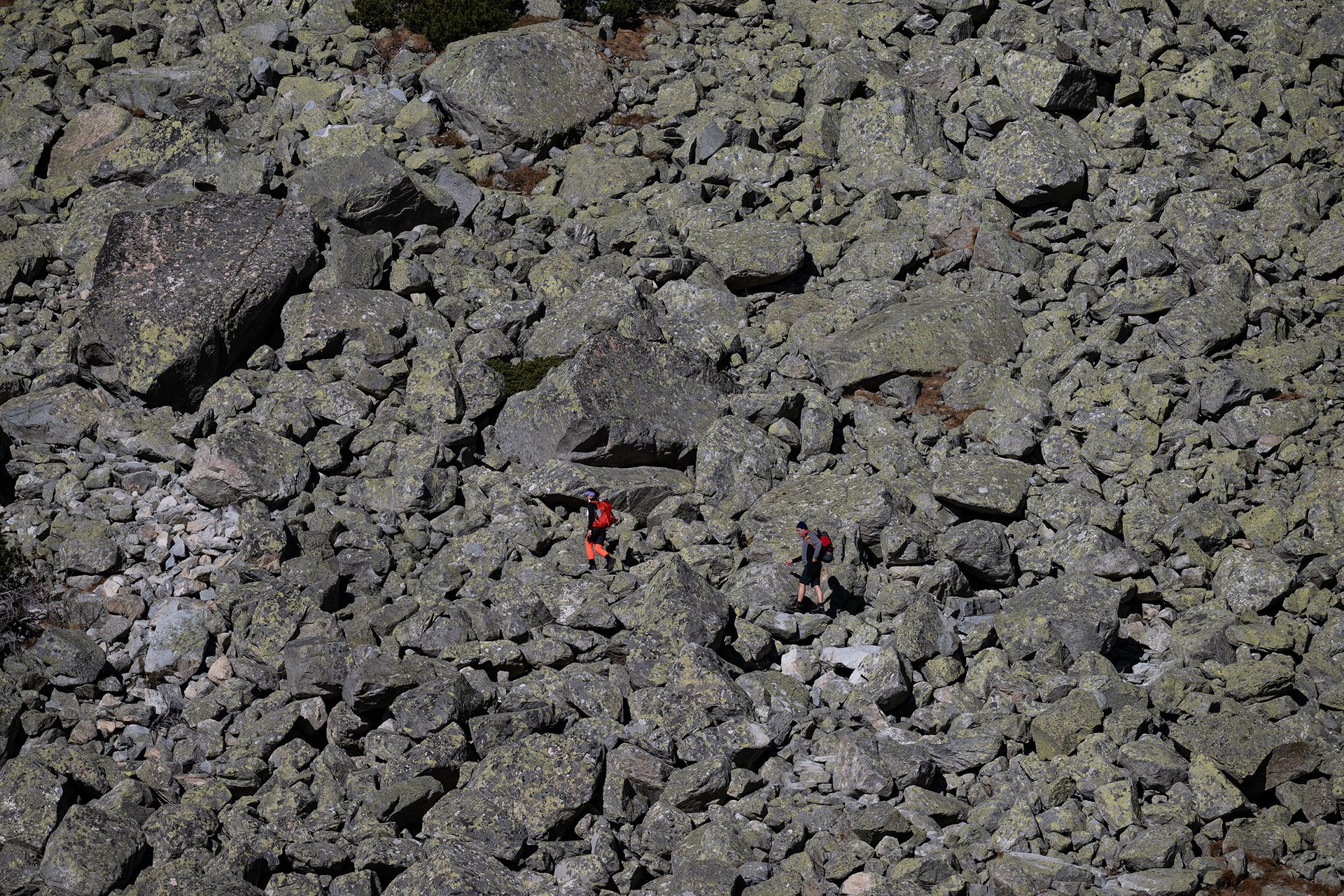 Autor: Matěj Stránský