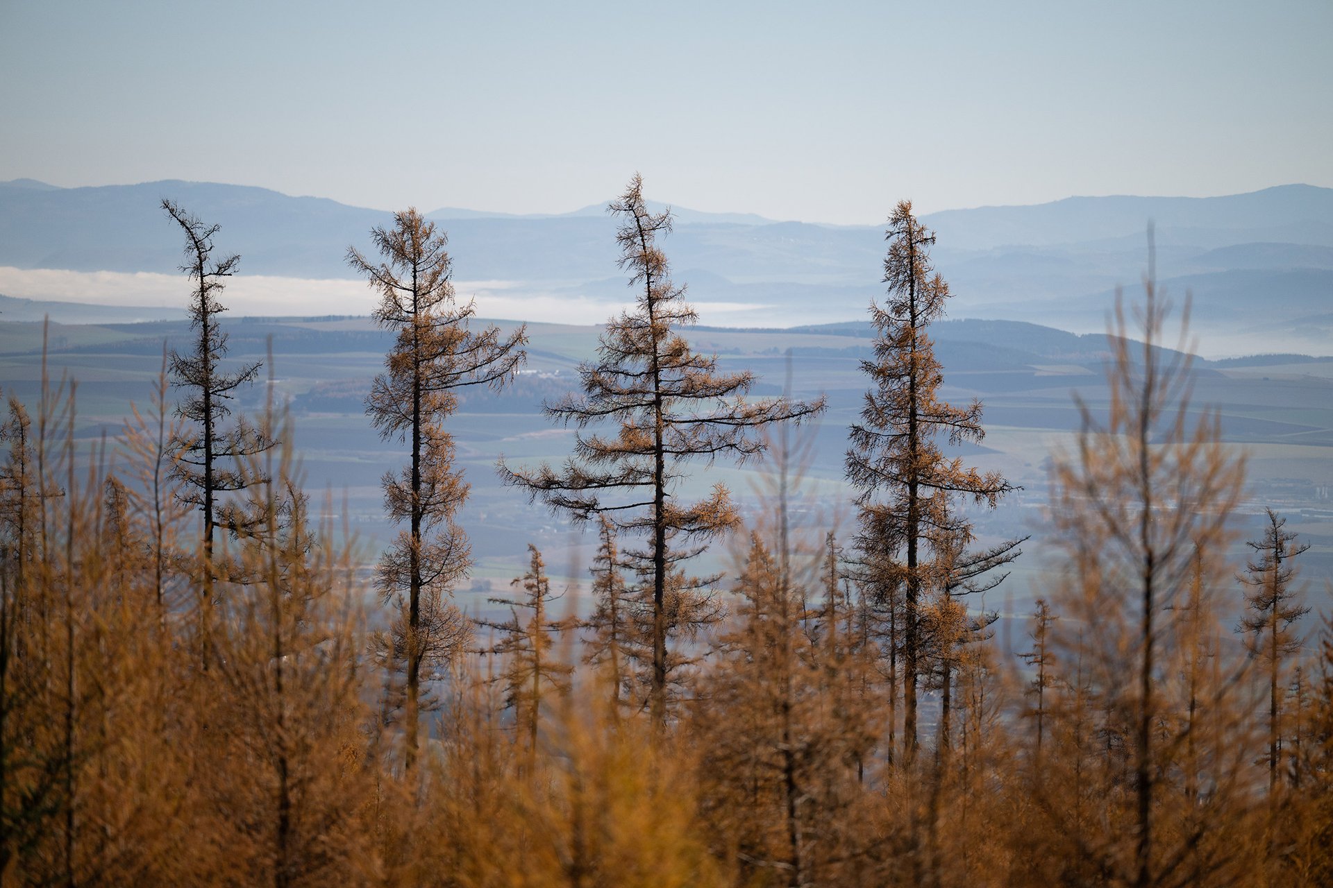 Autor: Matěj Stránský