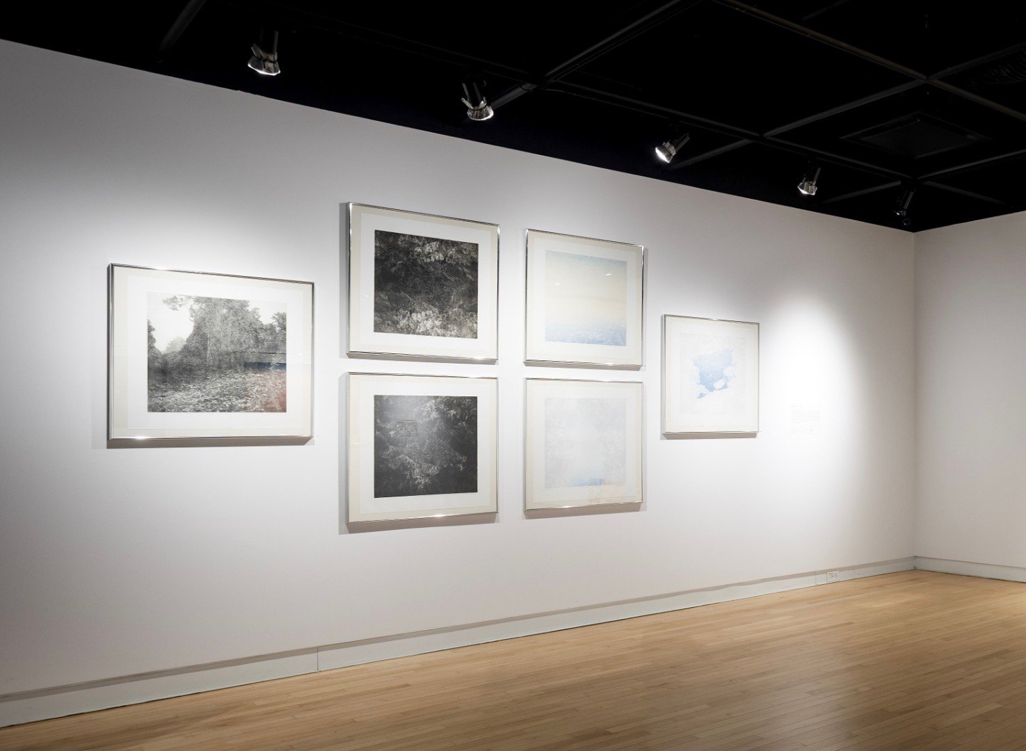 BIECTR 14 v Kanadě
Autor: Eva Rybářová