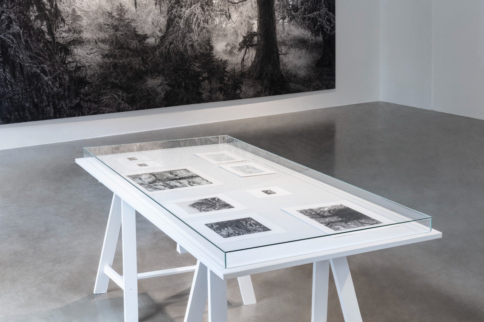 Když déšť utichne Kvalitář 2025
Autor: Eva Rybářová