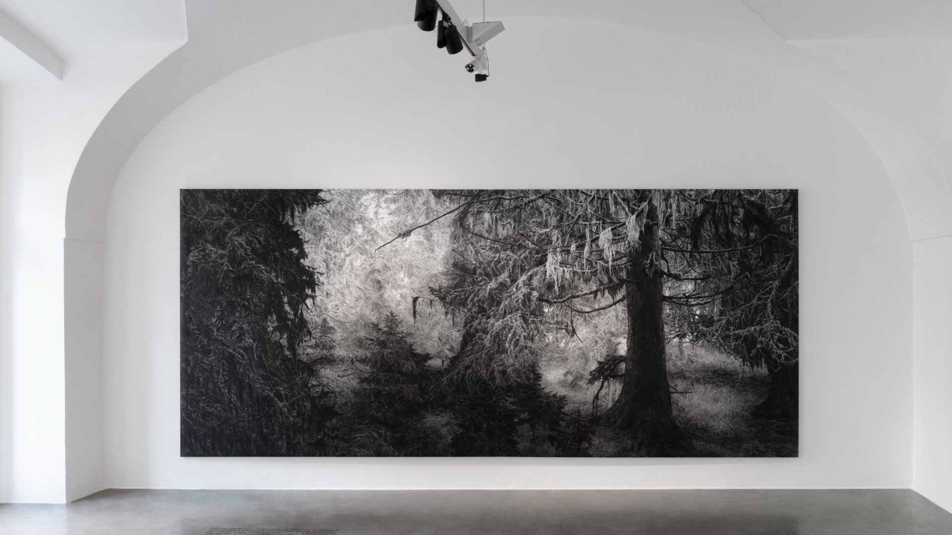 Když déšť utichne
Autor: Eva Rybářová