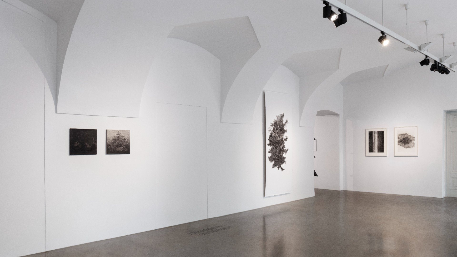 Když déšť utichne Kvalitář 2025 
Autor: Eva Rybářová