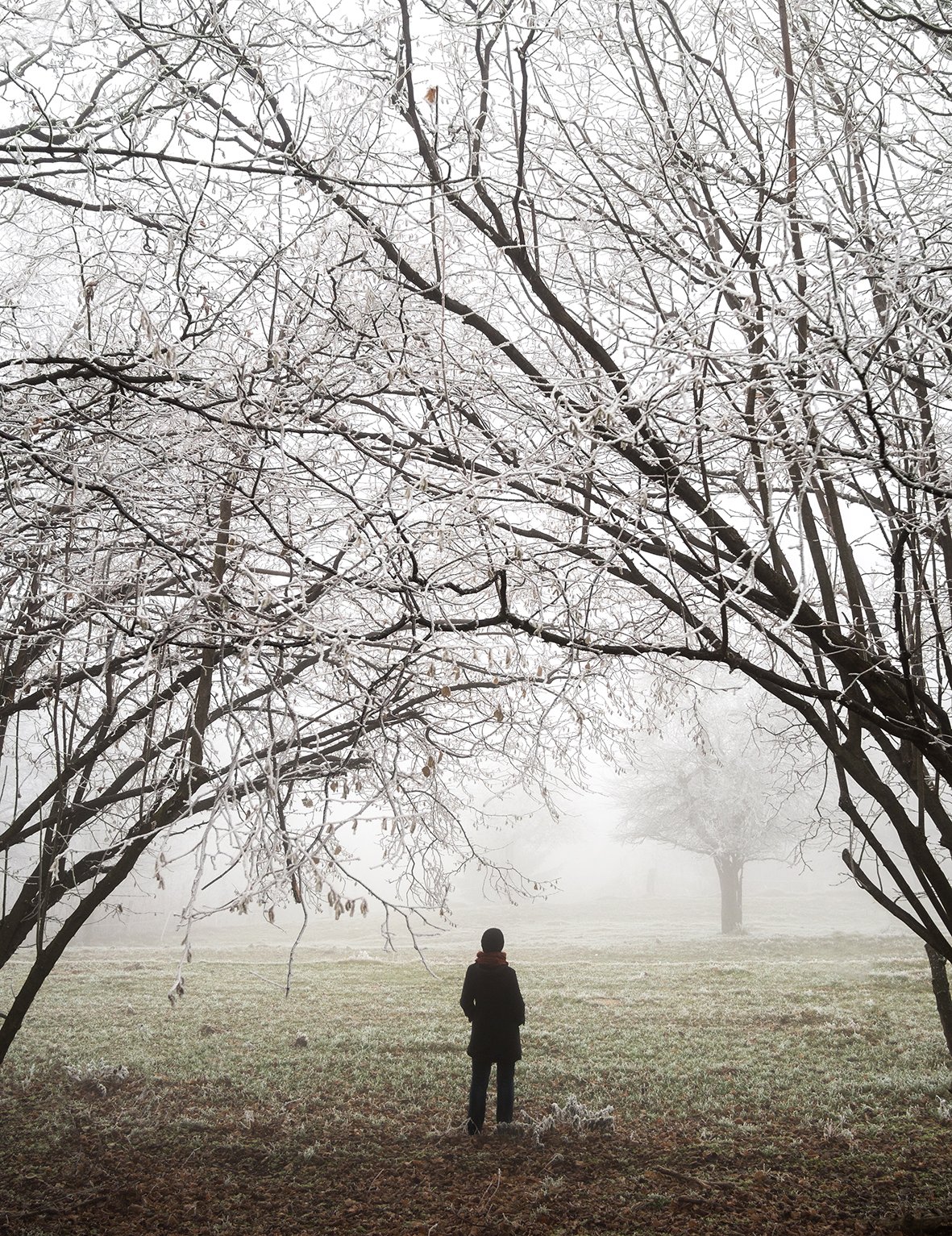 Woman standing alone in foggy woods