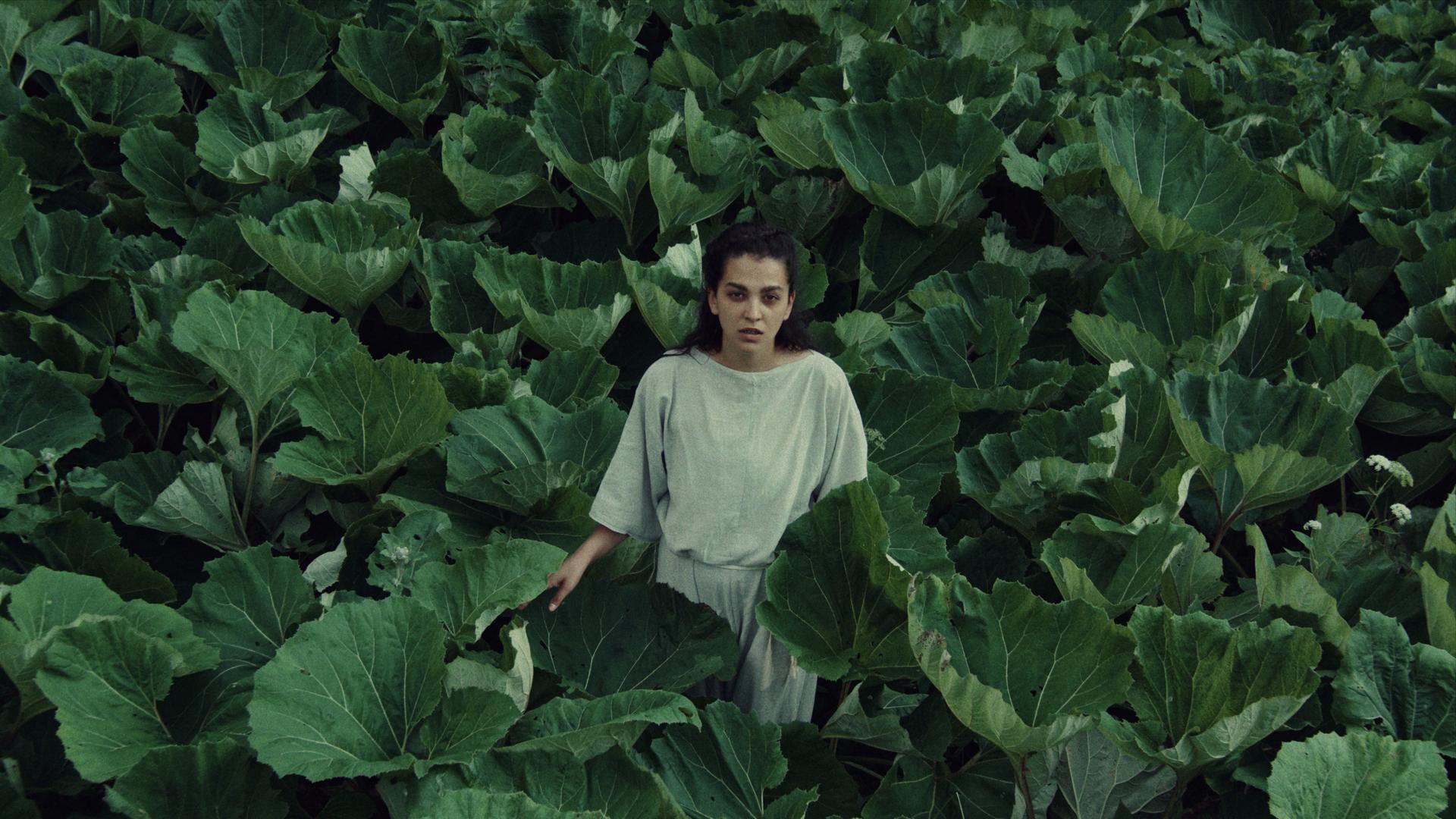 Dá se na smrt připravit lépe než na vládu Motoristů? A čeká nás vánoční feministická pohádka?