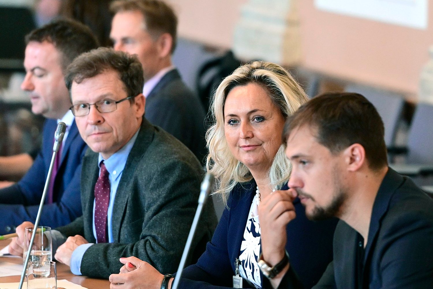 Národní ekonomická rada vlády hrála podstatnou roli. 