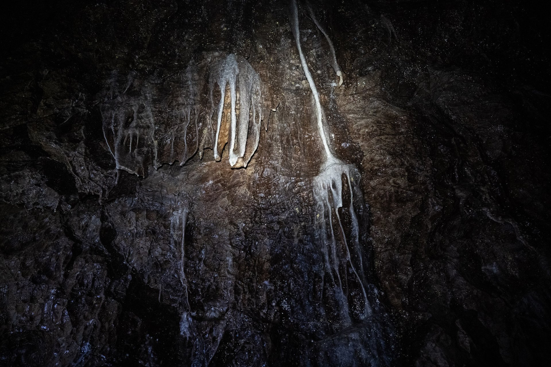 Autor: Matěj Stránský