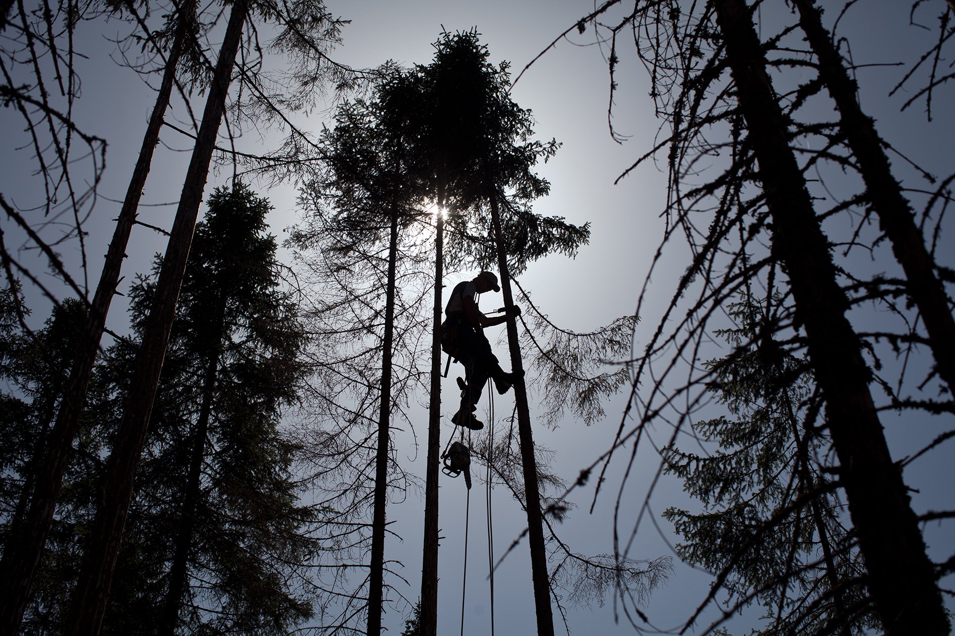 23/08/2011 Sumava lokalita Na ztracenem