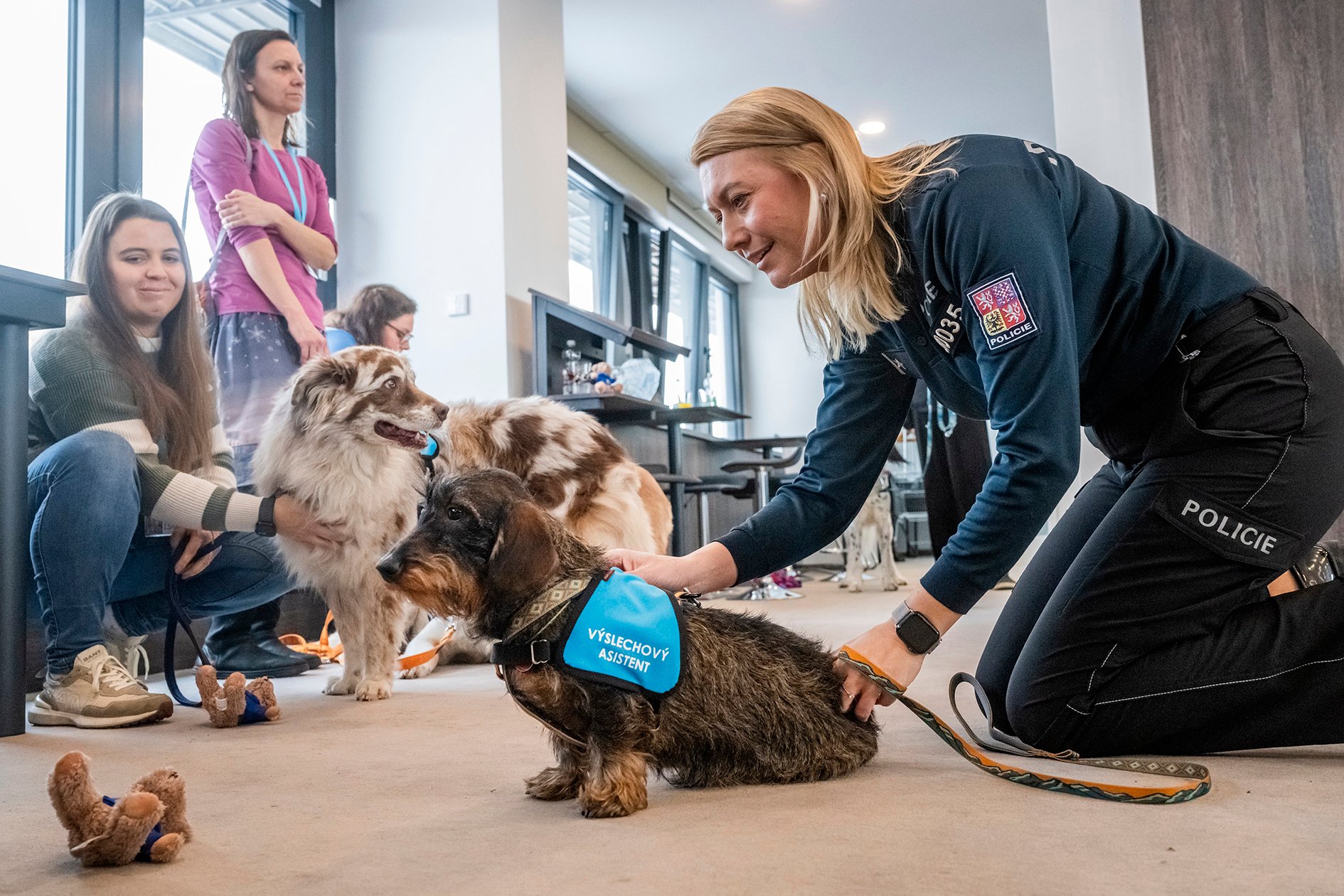 Alberta, asistenční fena, pes, psi, výslechový asistent, výslechoví asistenti, výslechový asistent
Autor: ČTK / Šimánek Vít