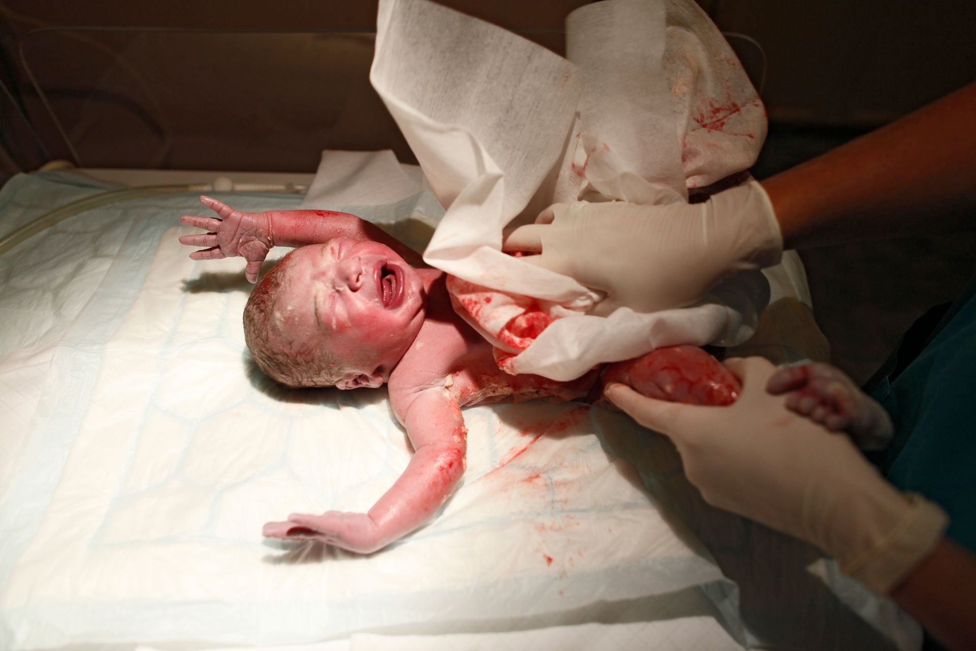 Šikovní tatínci si opět porodili vlastní děti! 