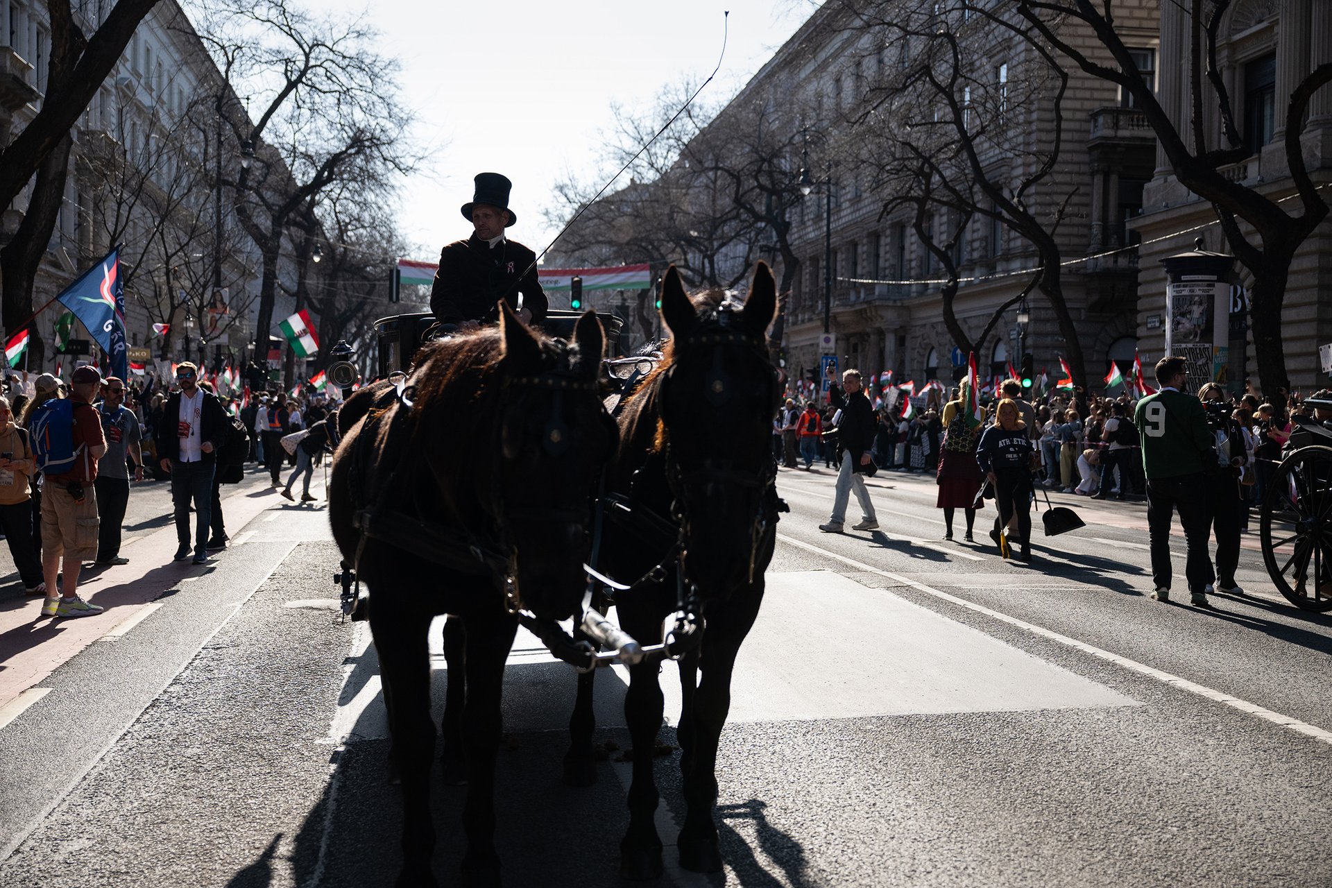 Autor: Matěj Stránský