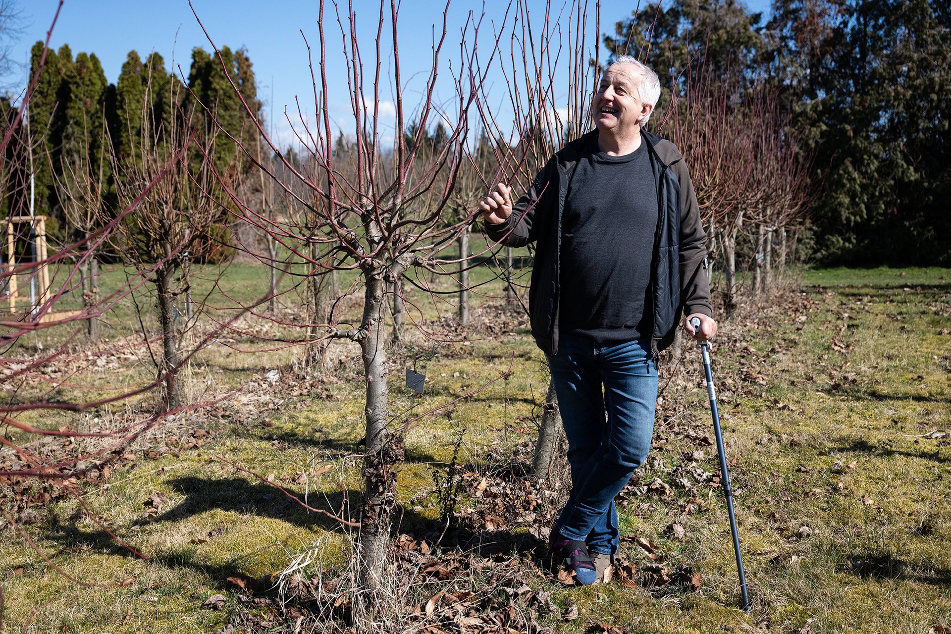 Matečnice, kde se uchovávají geny památných stromů (Zděnek Kiesenbauer v Dendrologické zahradě v Průhonicích)