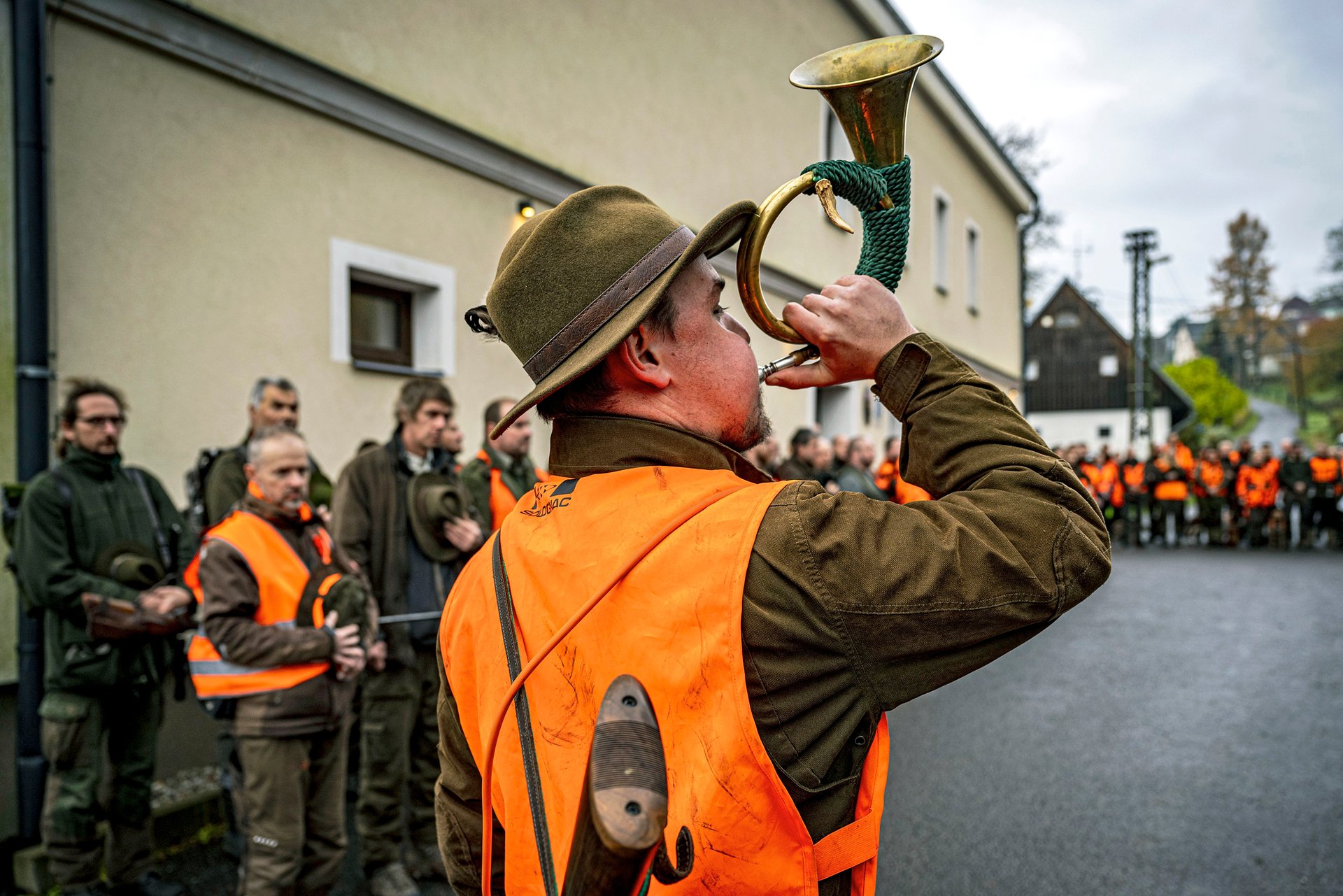 Skutečnými škůdci přírodní rozmanitosti nejsou vlci, jak tvrdí myslivci, ale přemnožená prasata 