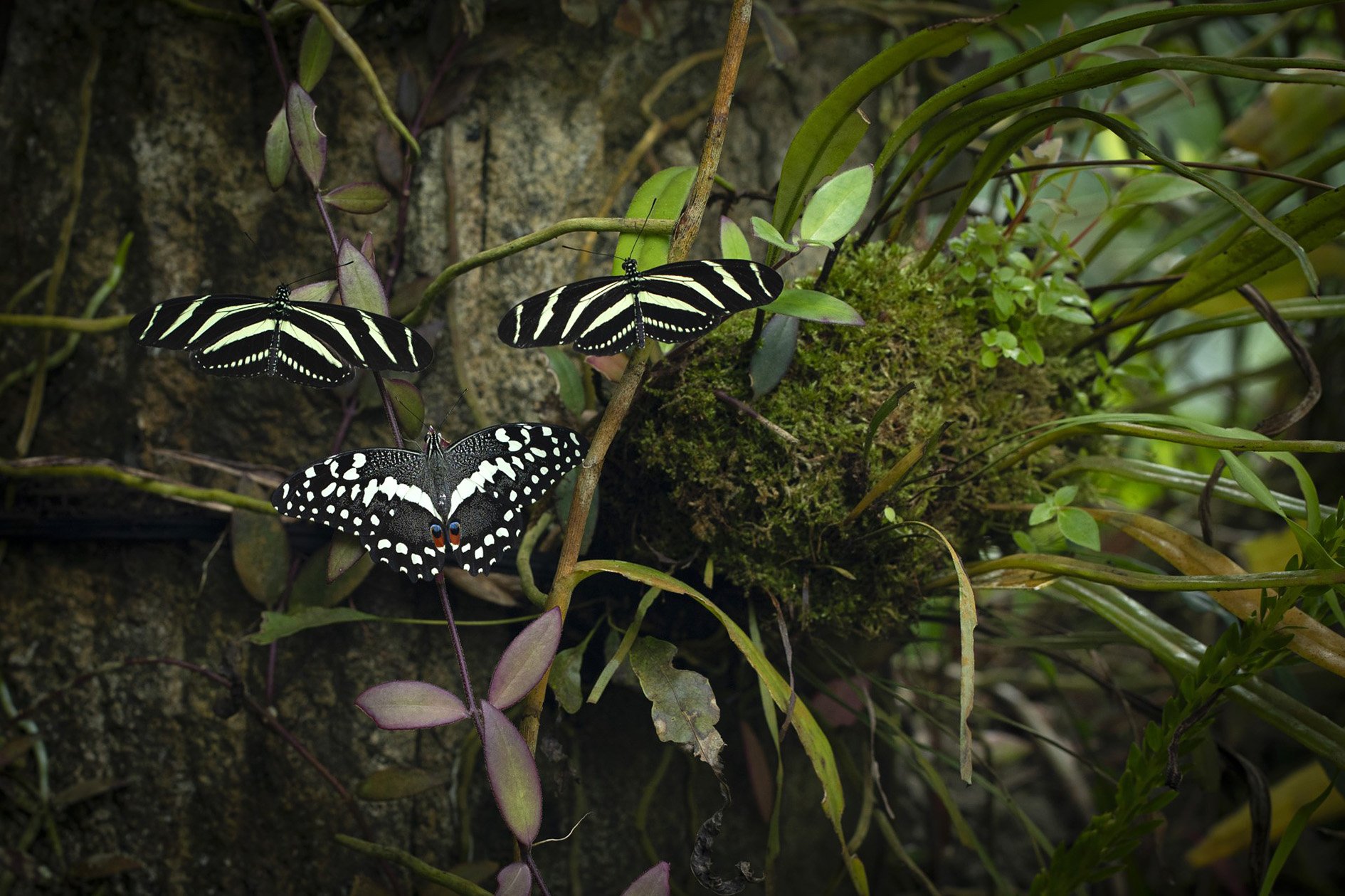 Uplynulých sedm dní očima Ivana Lampera