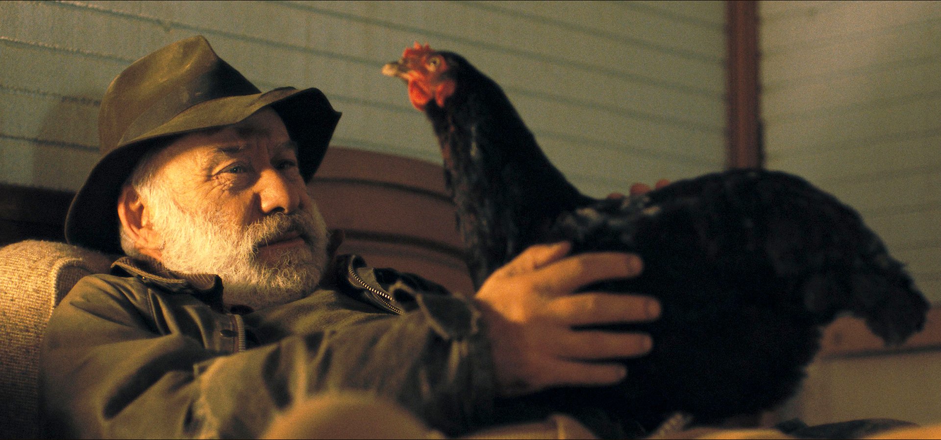 Film týdne: Kdyby byl  Odysseus kur domácí – mezidruhová tragédie Slepice vypráví o mateřství i o absenci empatie 